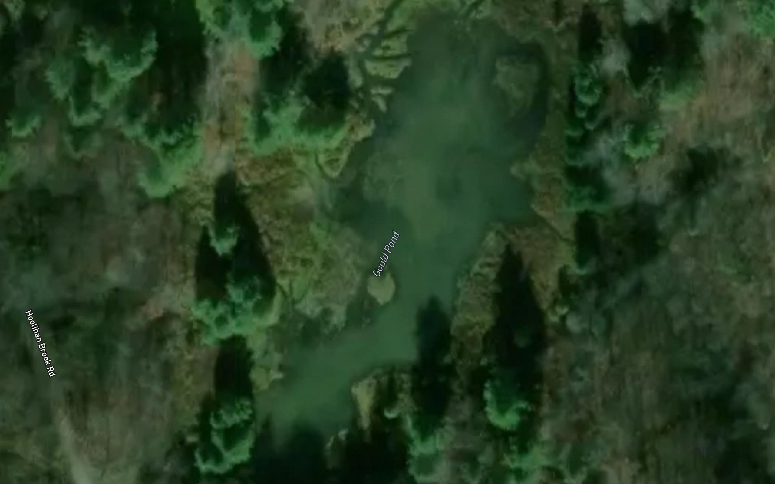 Gould Pond