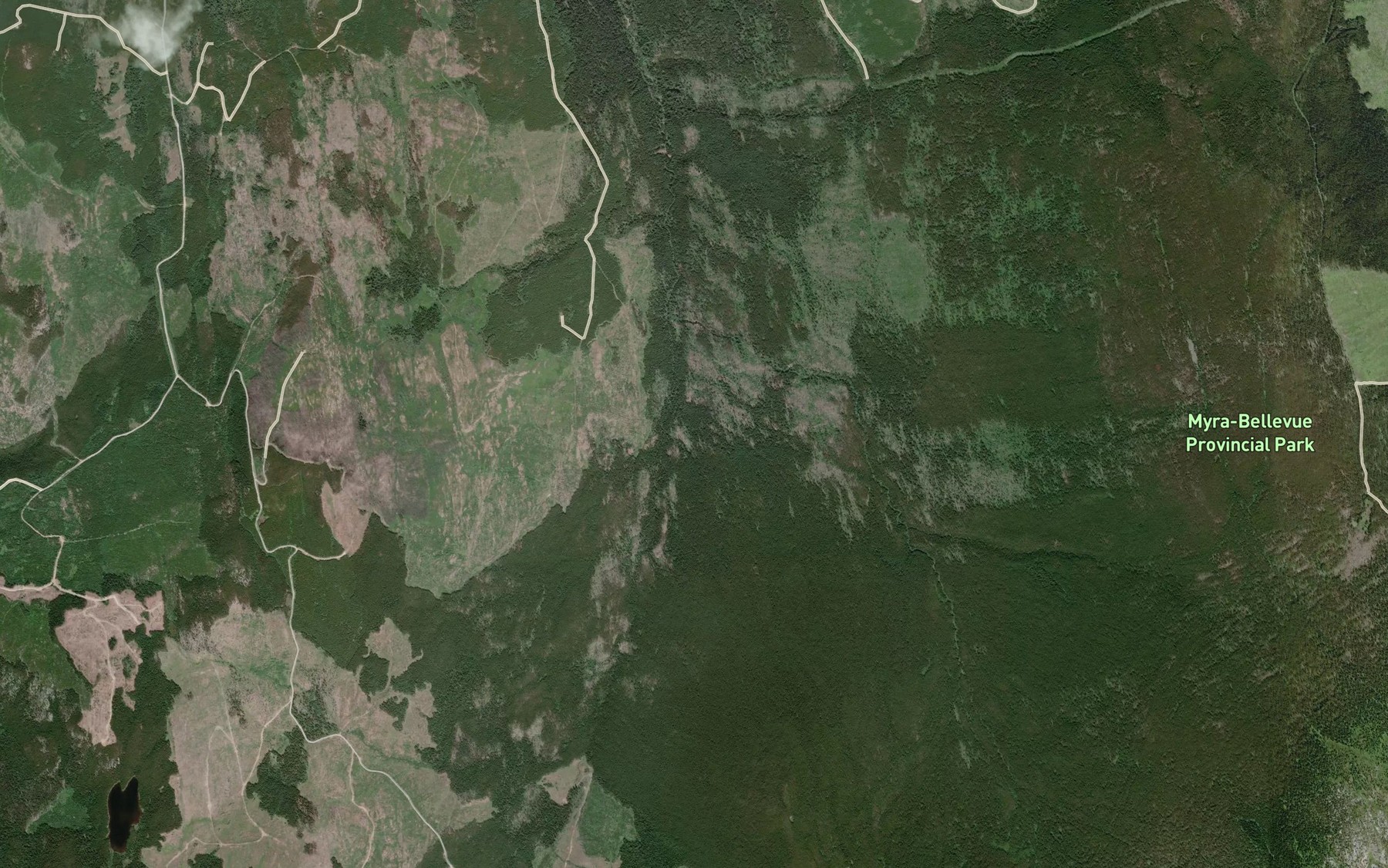 Satellite map of the Saucier Creek