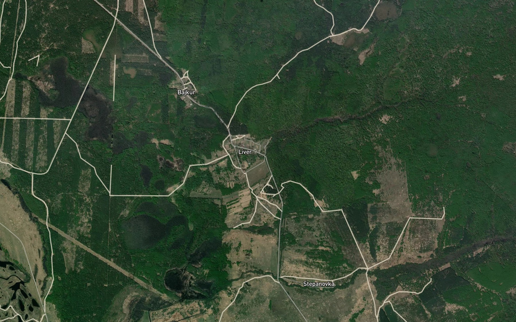 Satellite map of the Liver