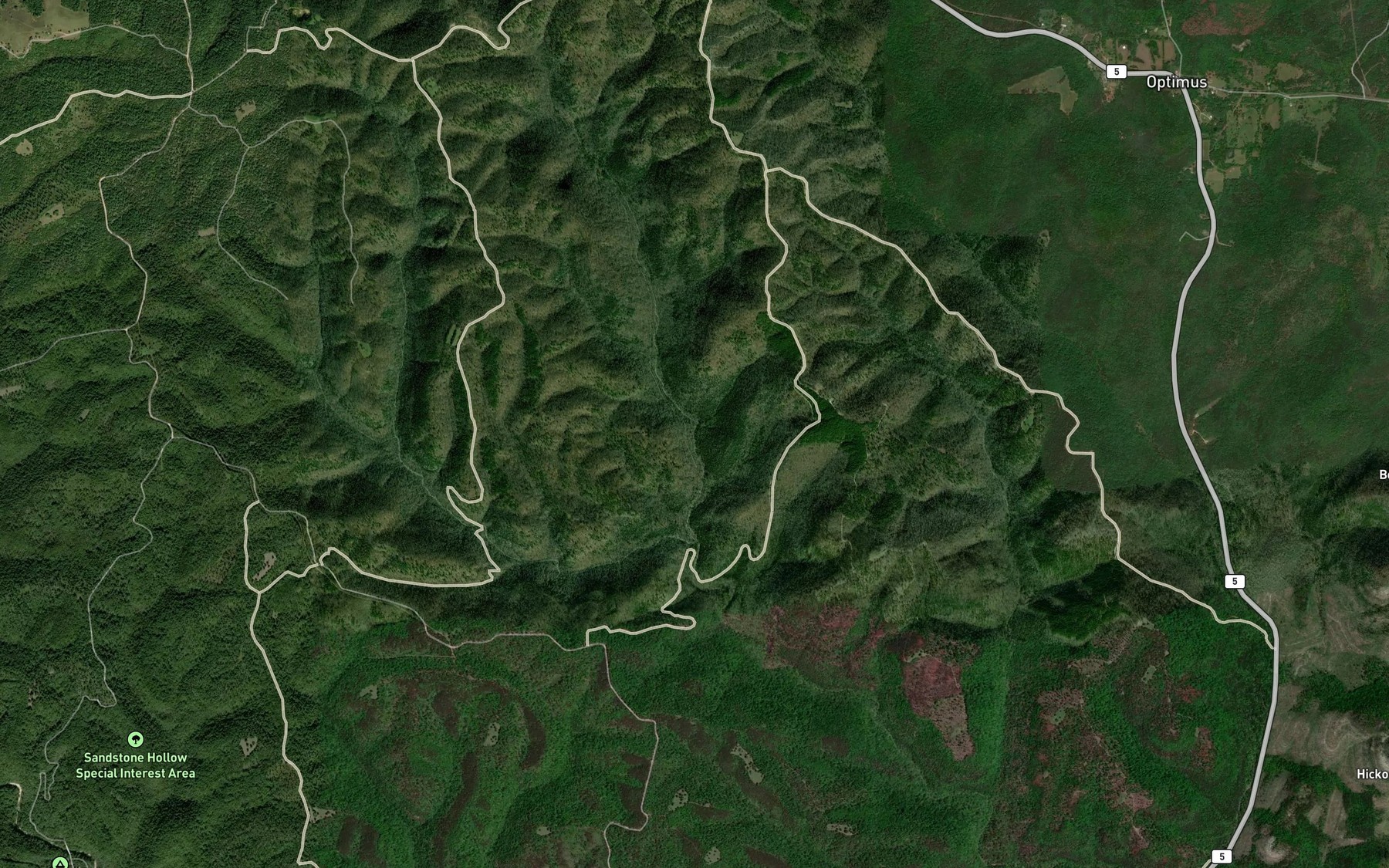 Satellite map of the Big Spring