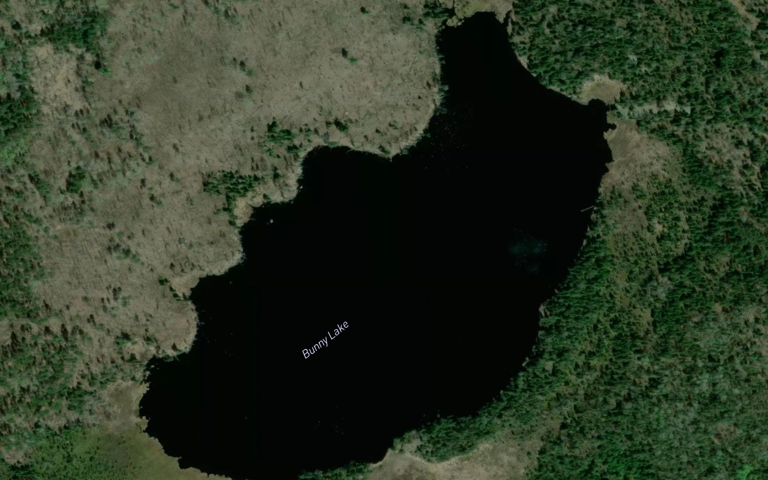 Bunny Lake