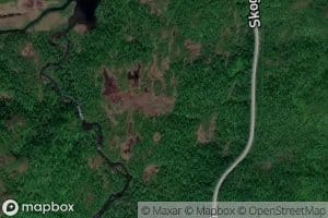 Middagselva