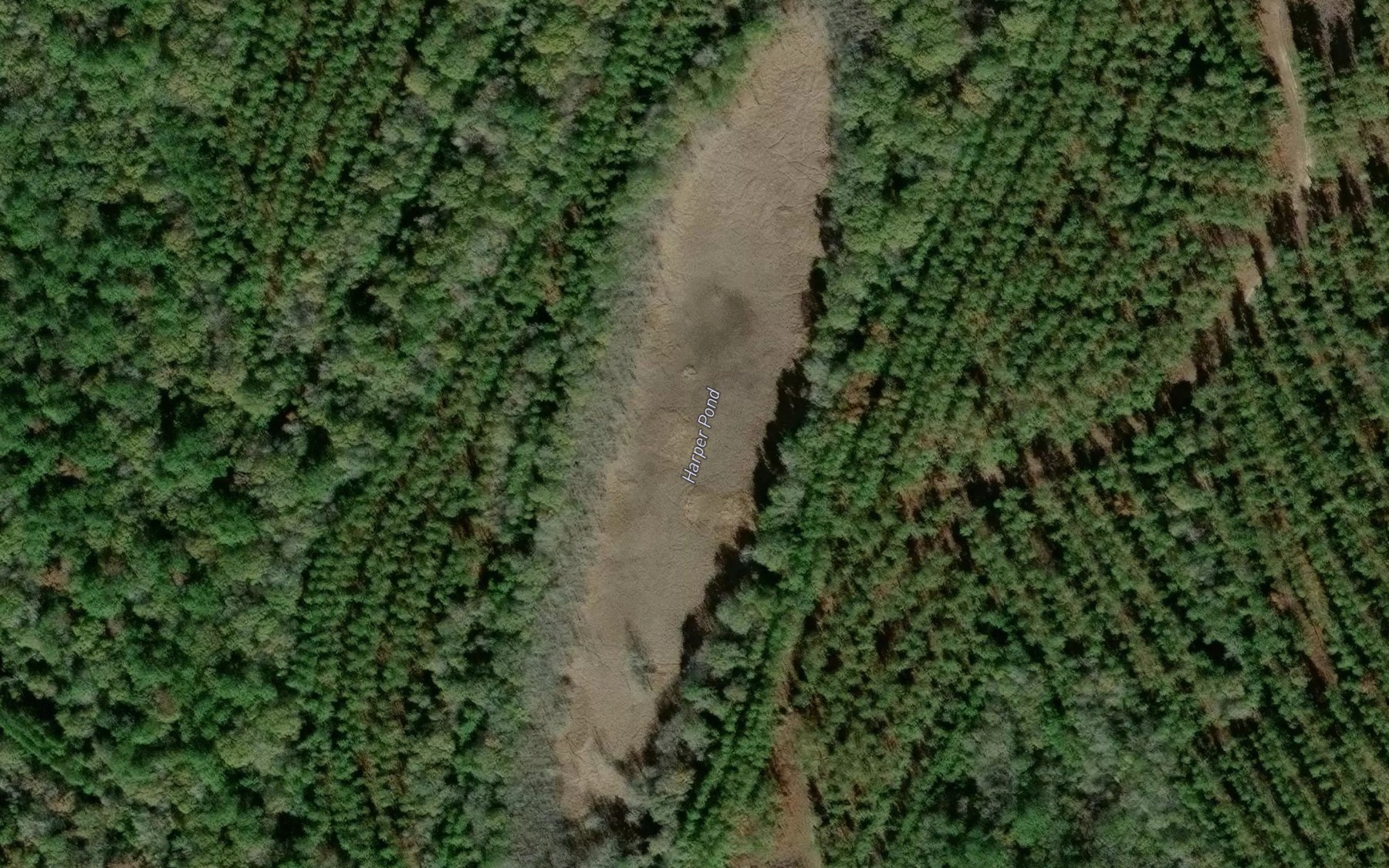 Satellite map of the Harper Pond