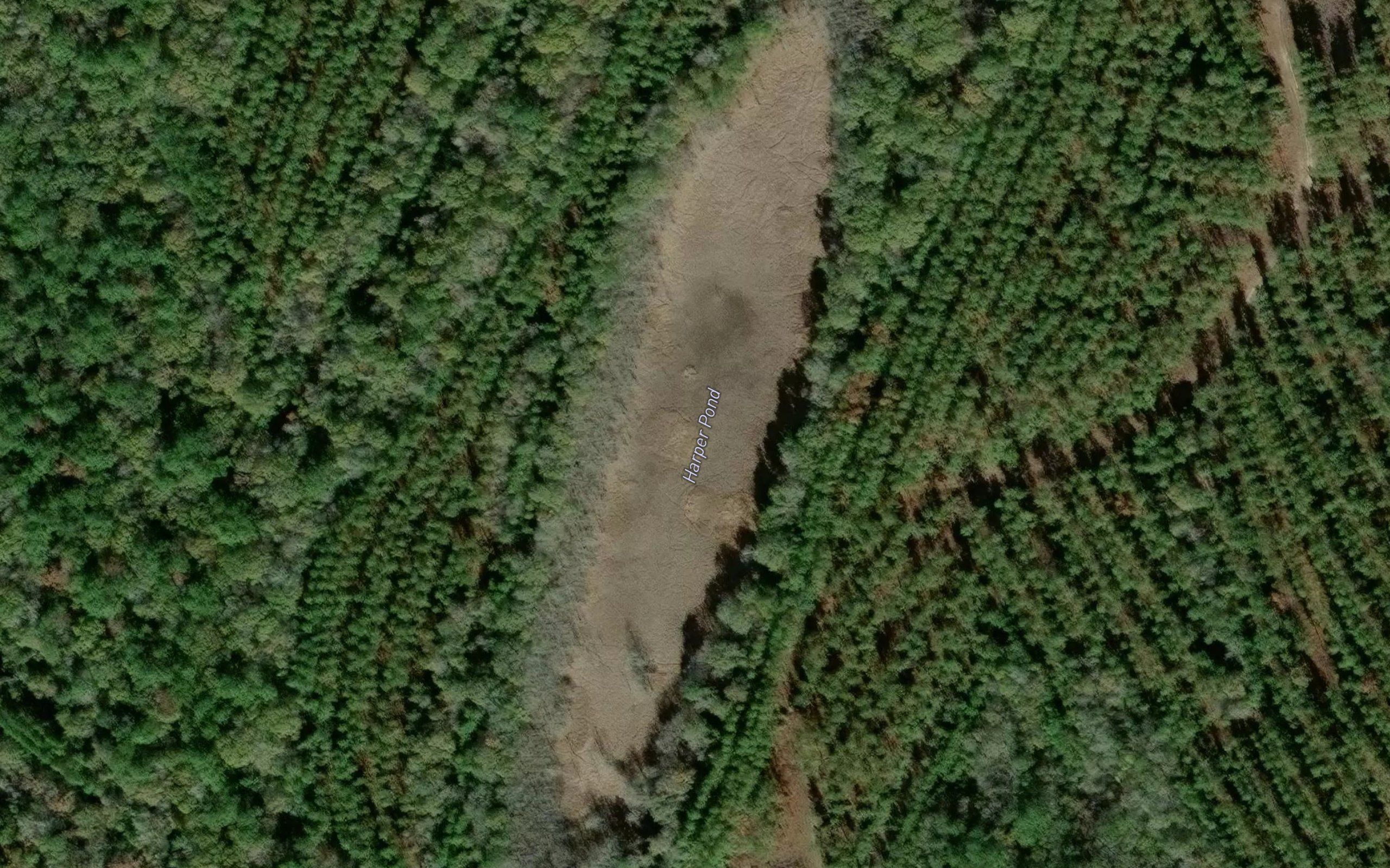 Harper Pond