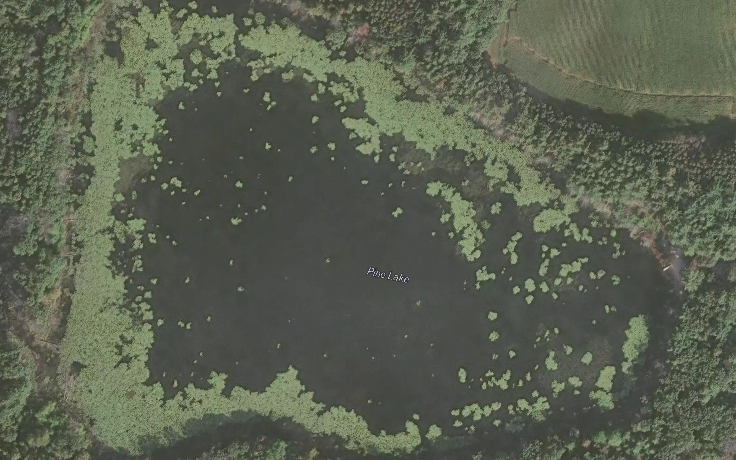 Pine Lake
