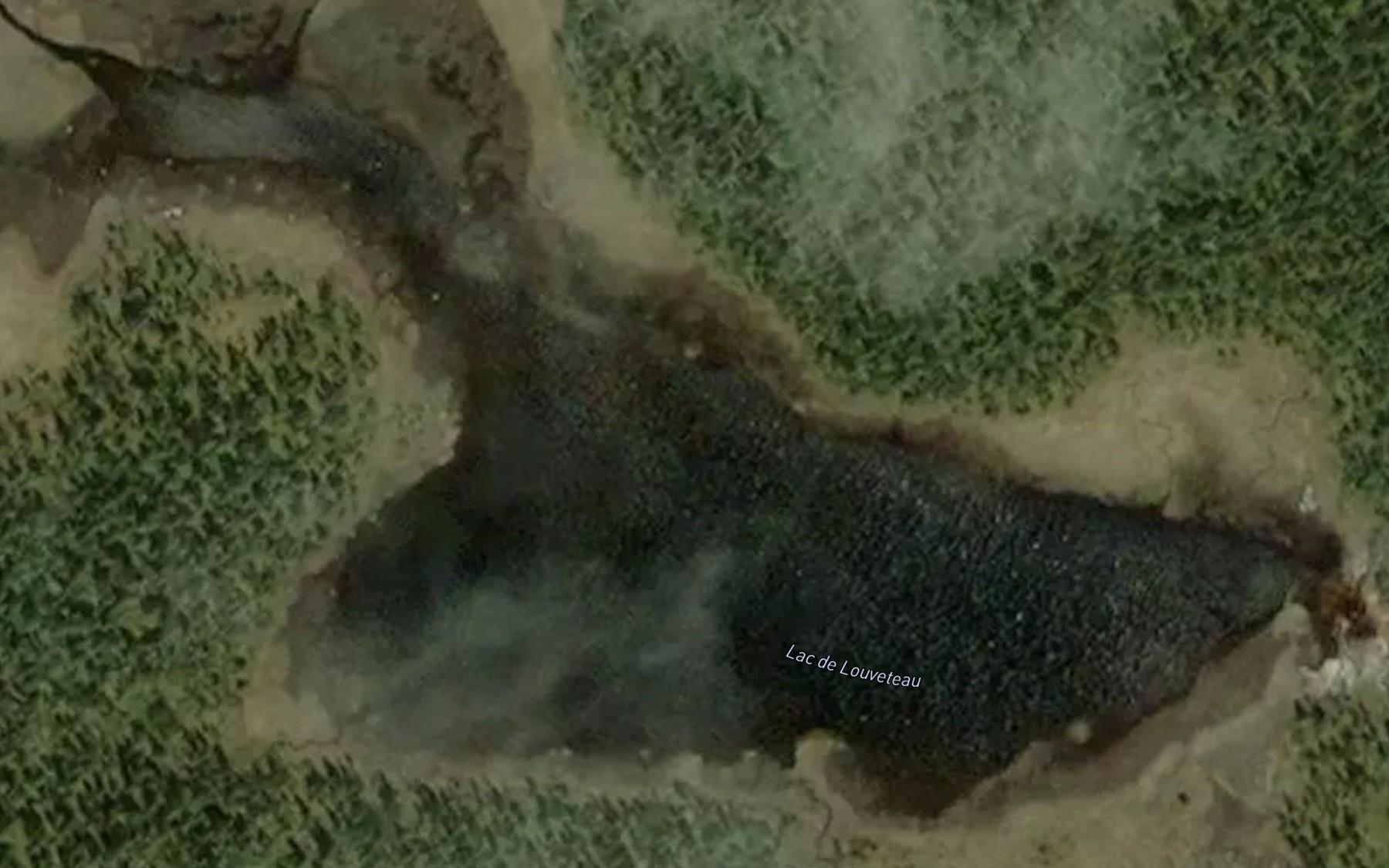 Satellite map of the Lac de Louveteau