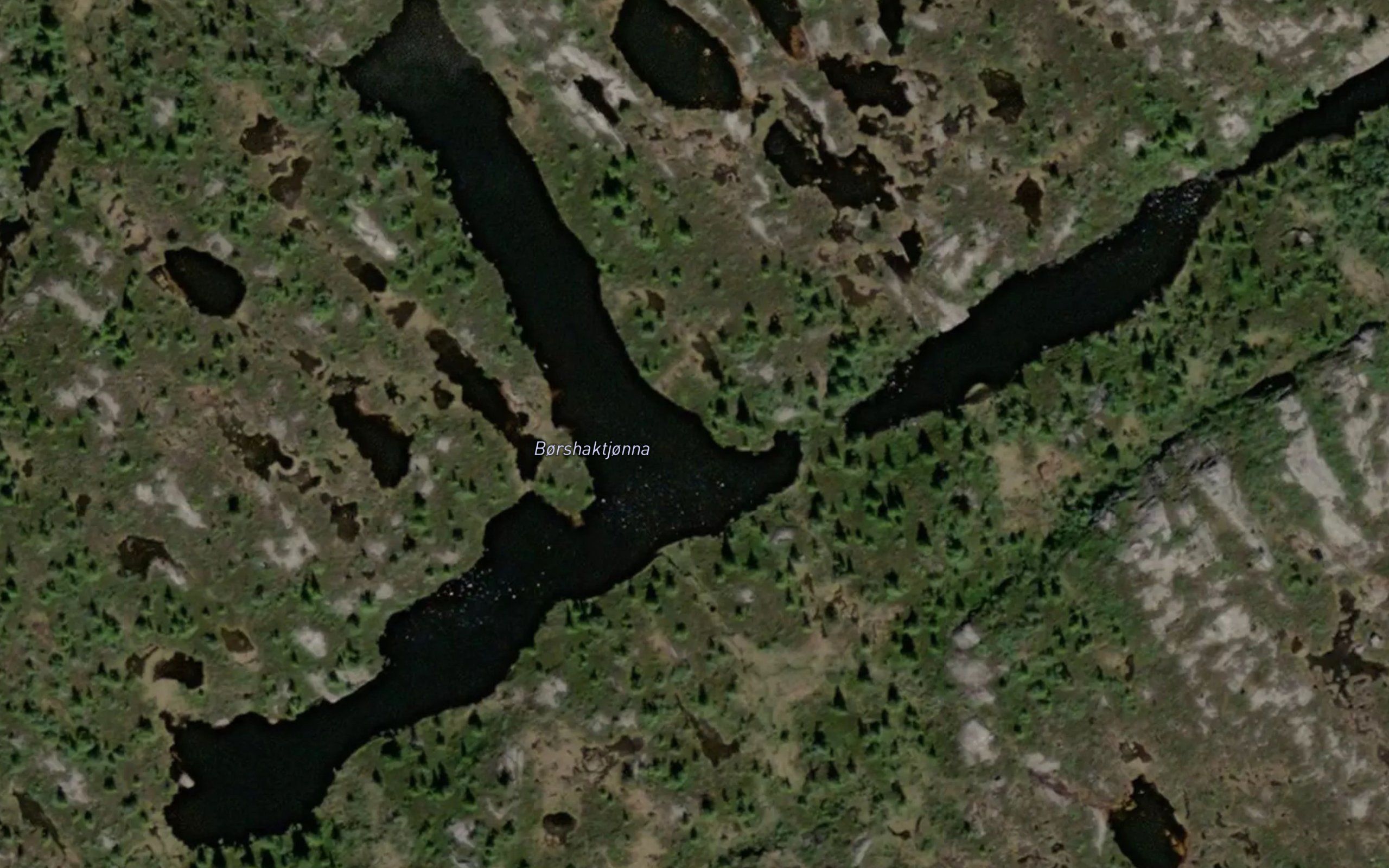 Borshaktjonna