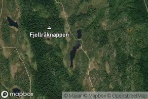 Tvillingtjerna