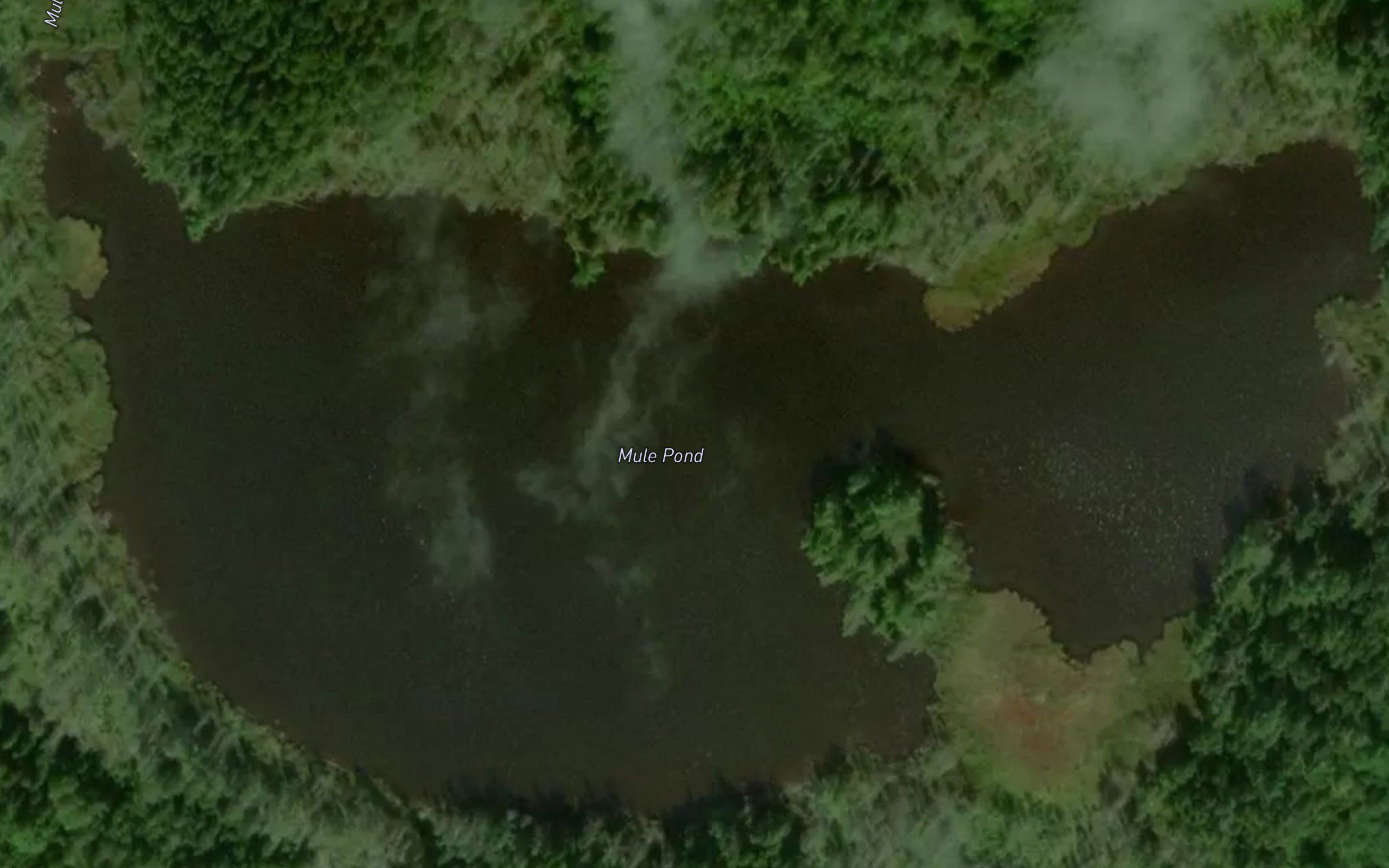 Mule Pond