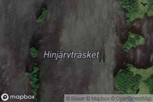 Hinjaervtraesket
