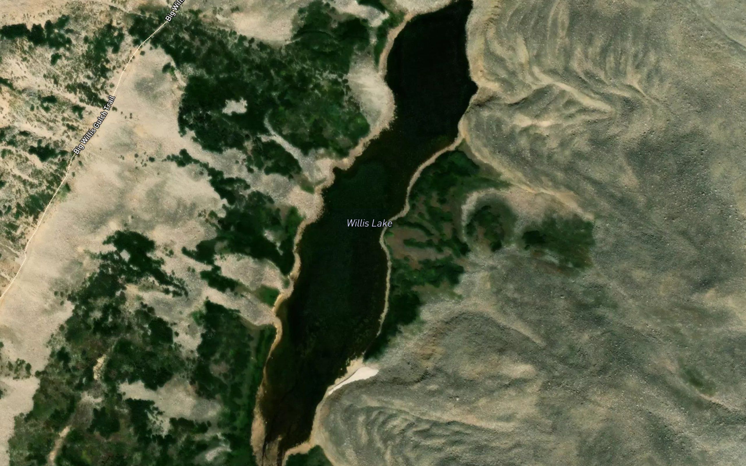Willis Lake