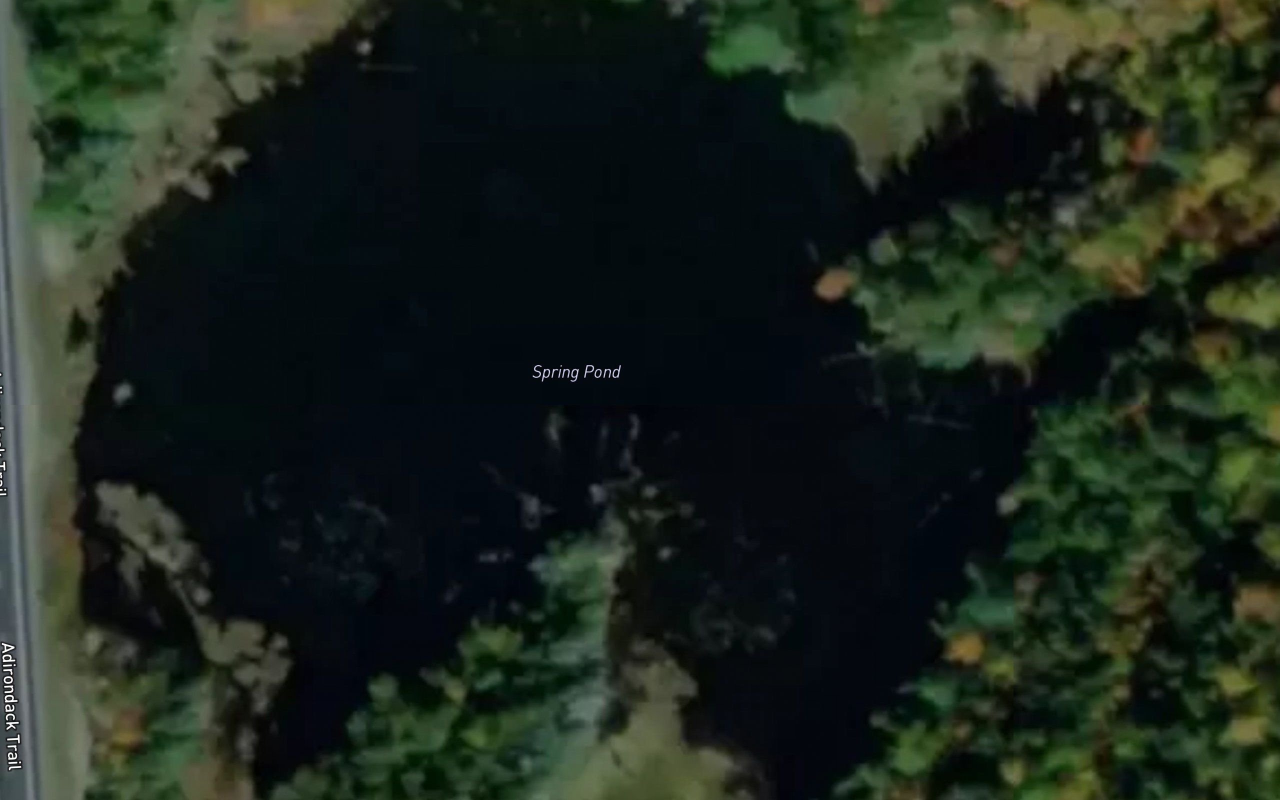 Spring Pond