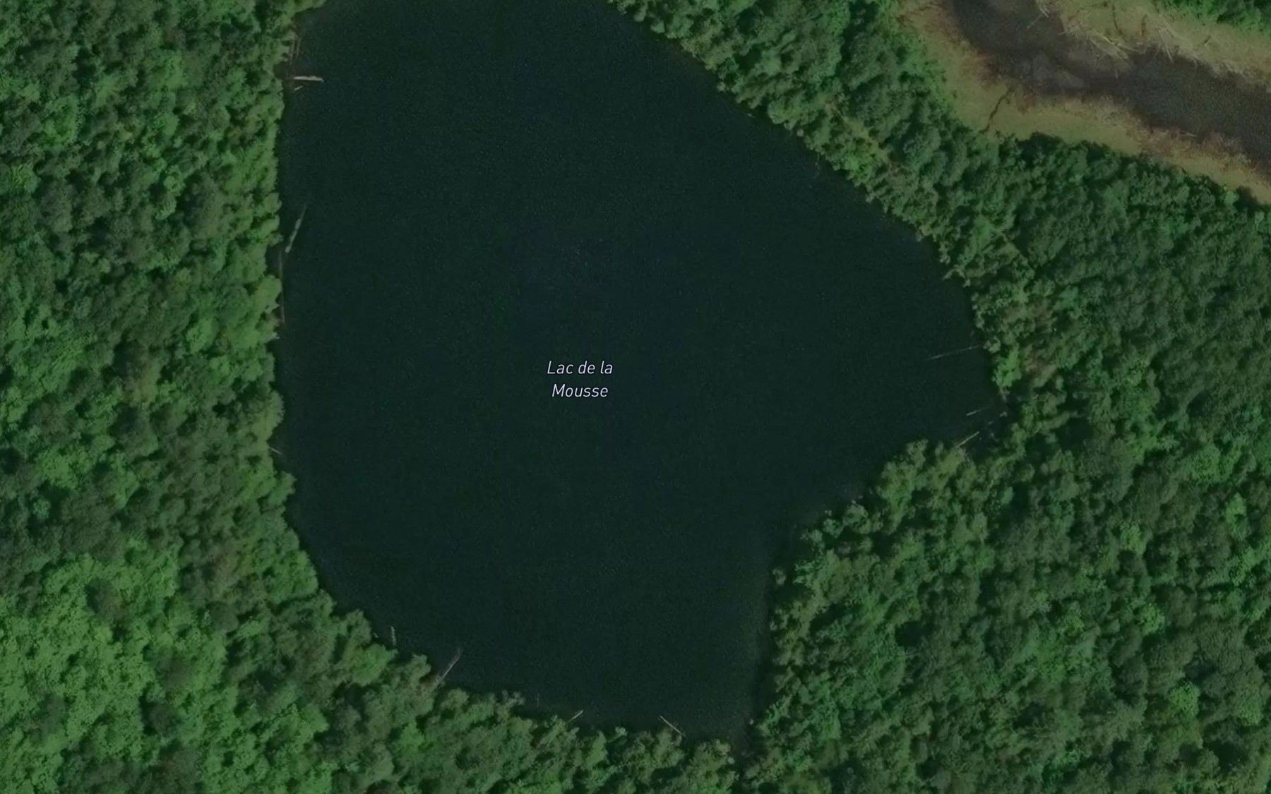 Satellite map of the Lac de la Mousse