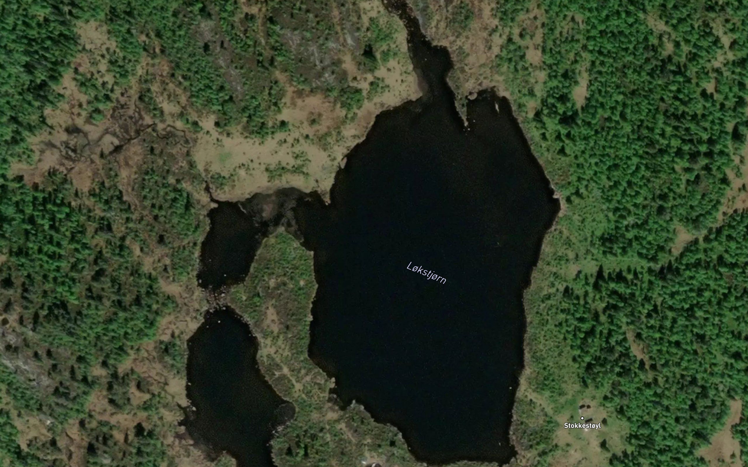 Lokstjorn