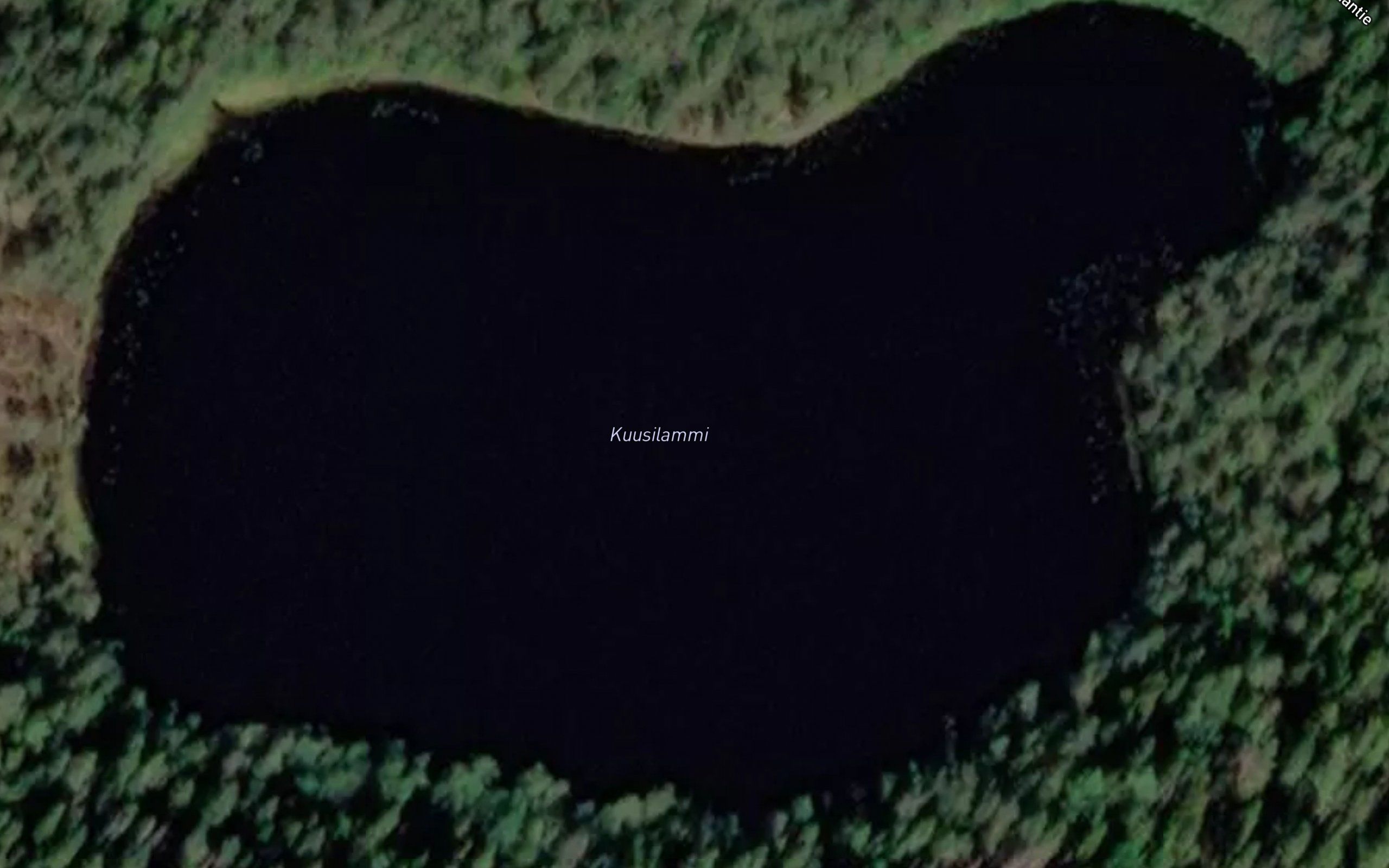 Kuusilammi