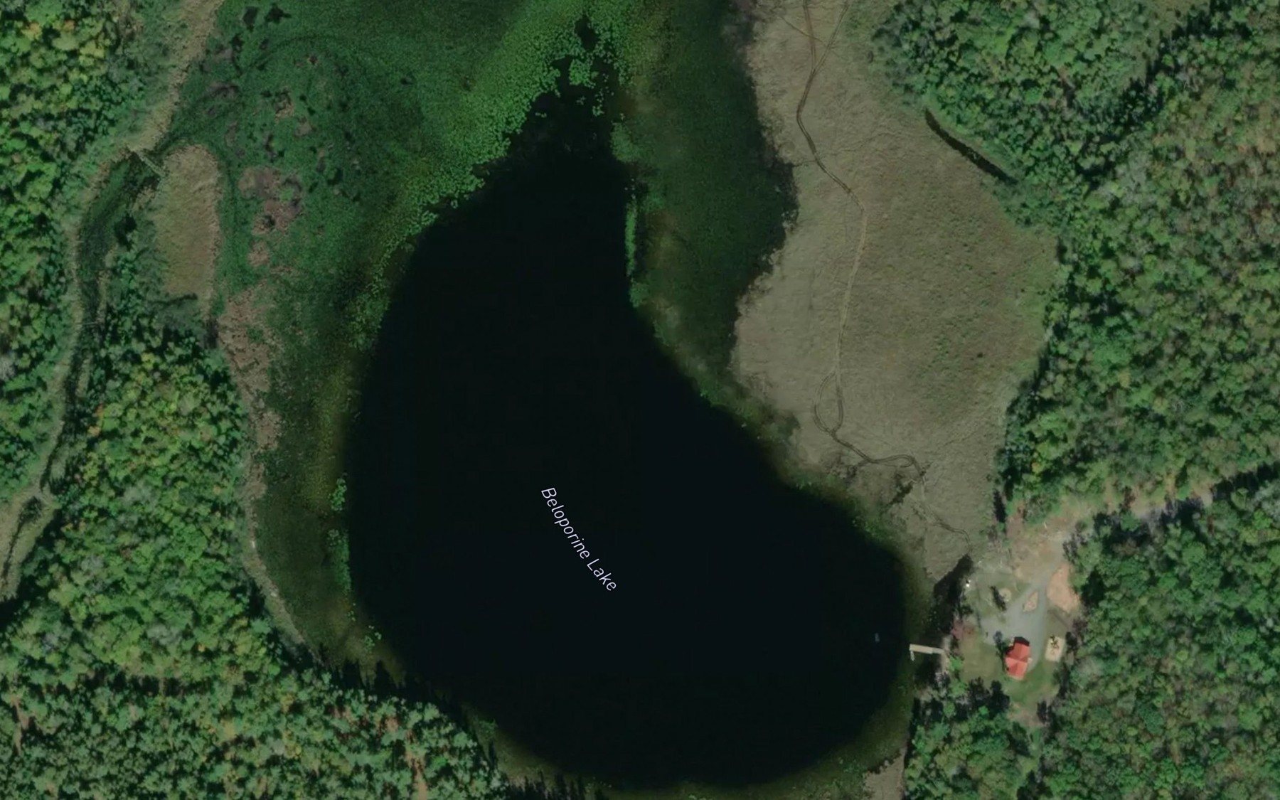 Satellite map of the Beloporine Lake