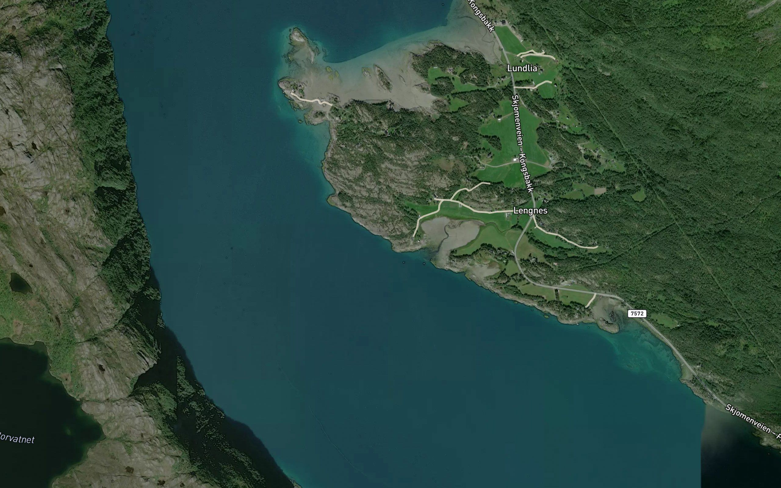 Seljevika