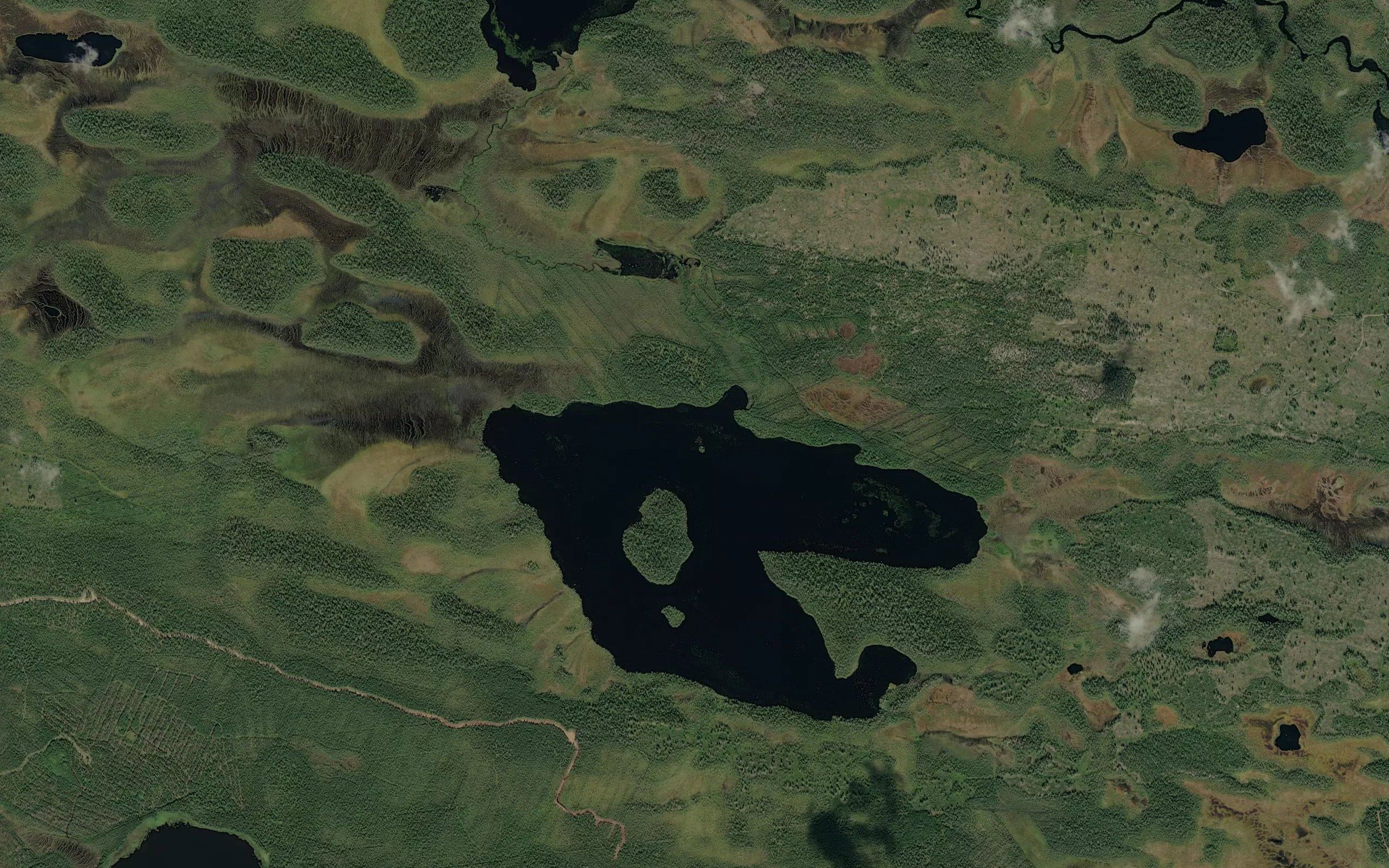 Viipuajarvi