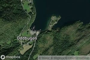 Oddbugen