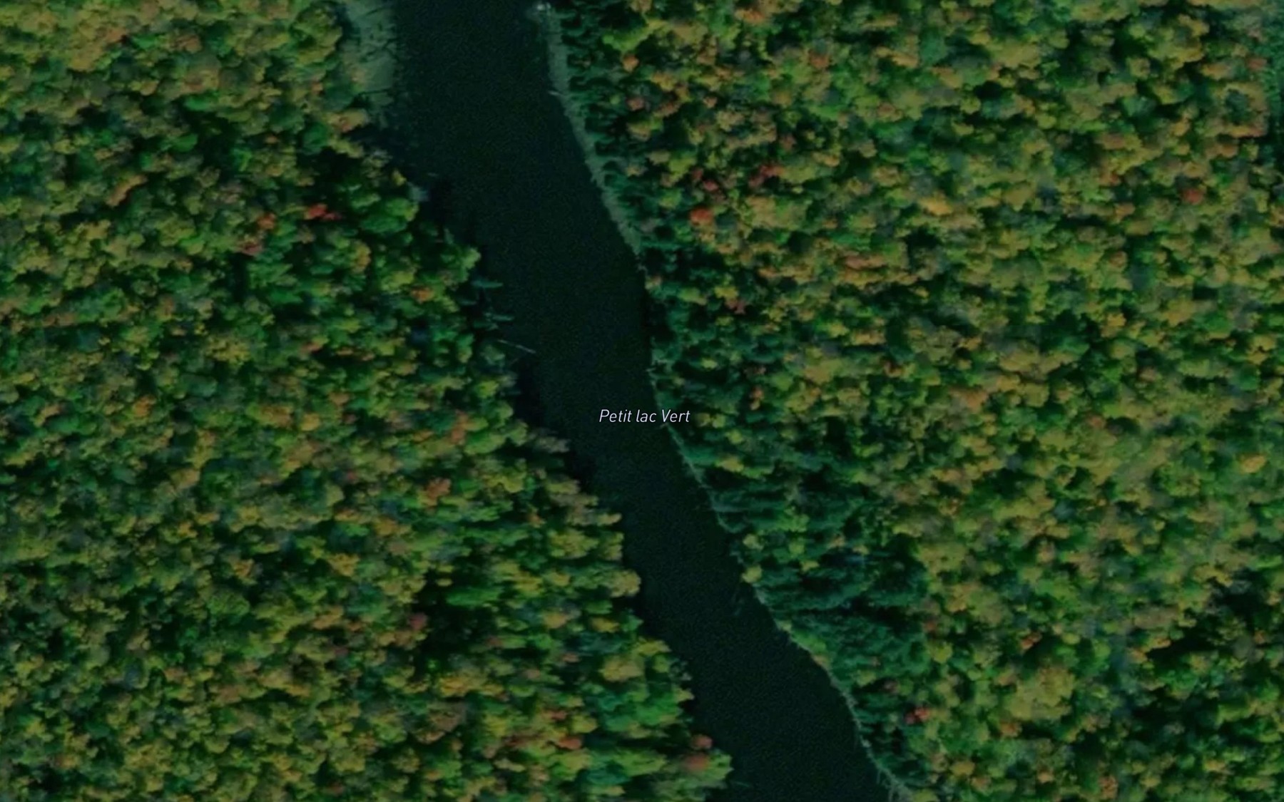 Satellite map of the Petit lac Vert