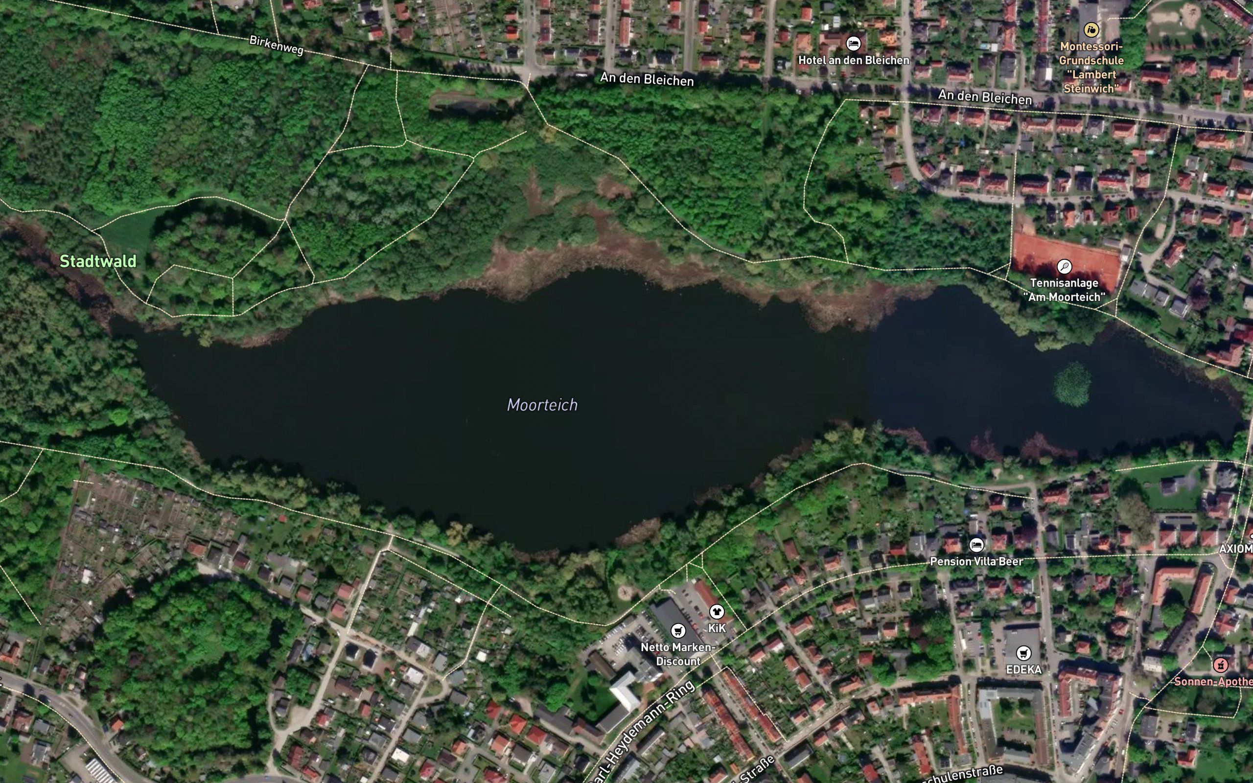Moorteich