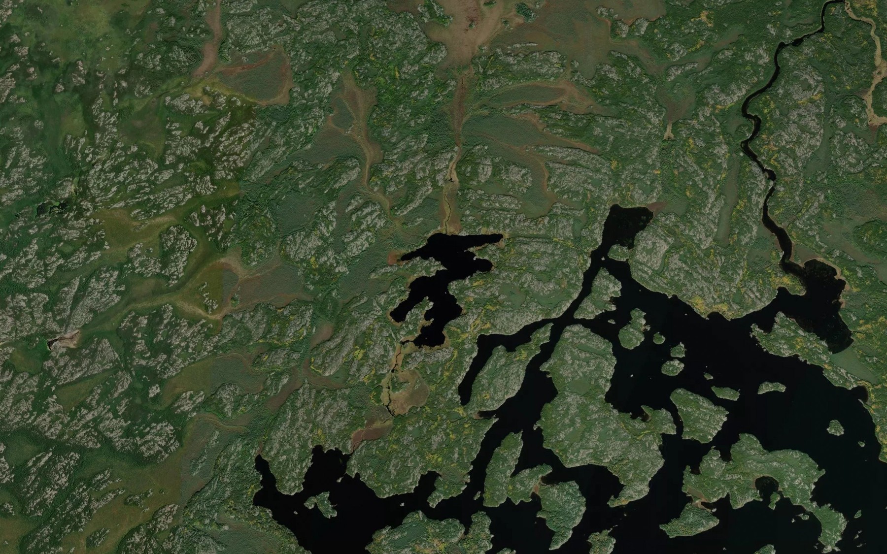 Satellite map of the Montgomery Lake