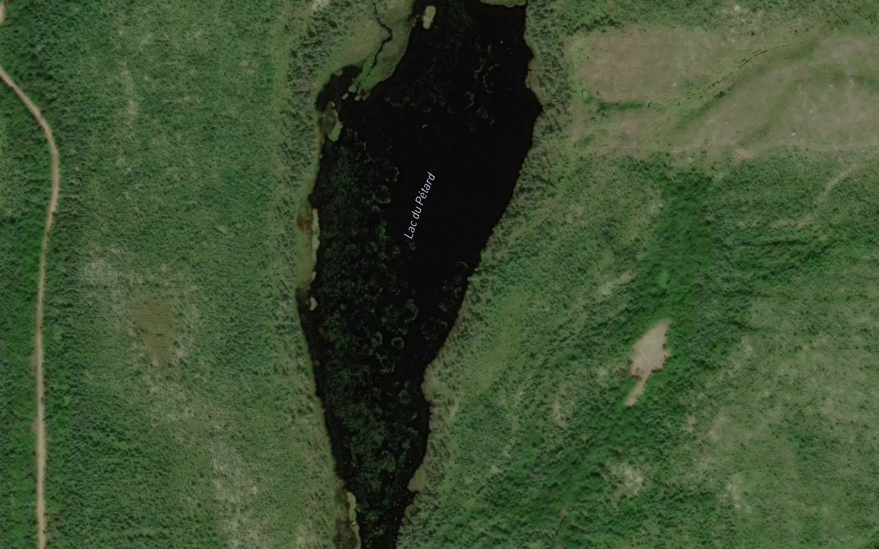 Satellite map of the Lac du Petard