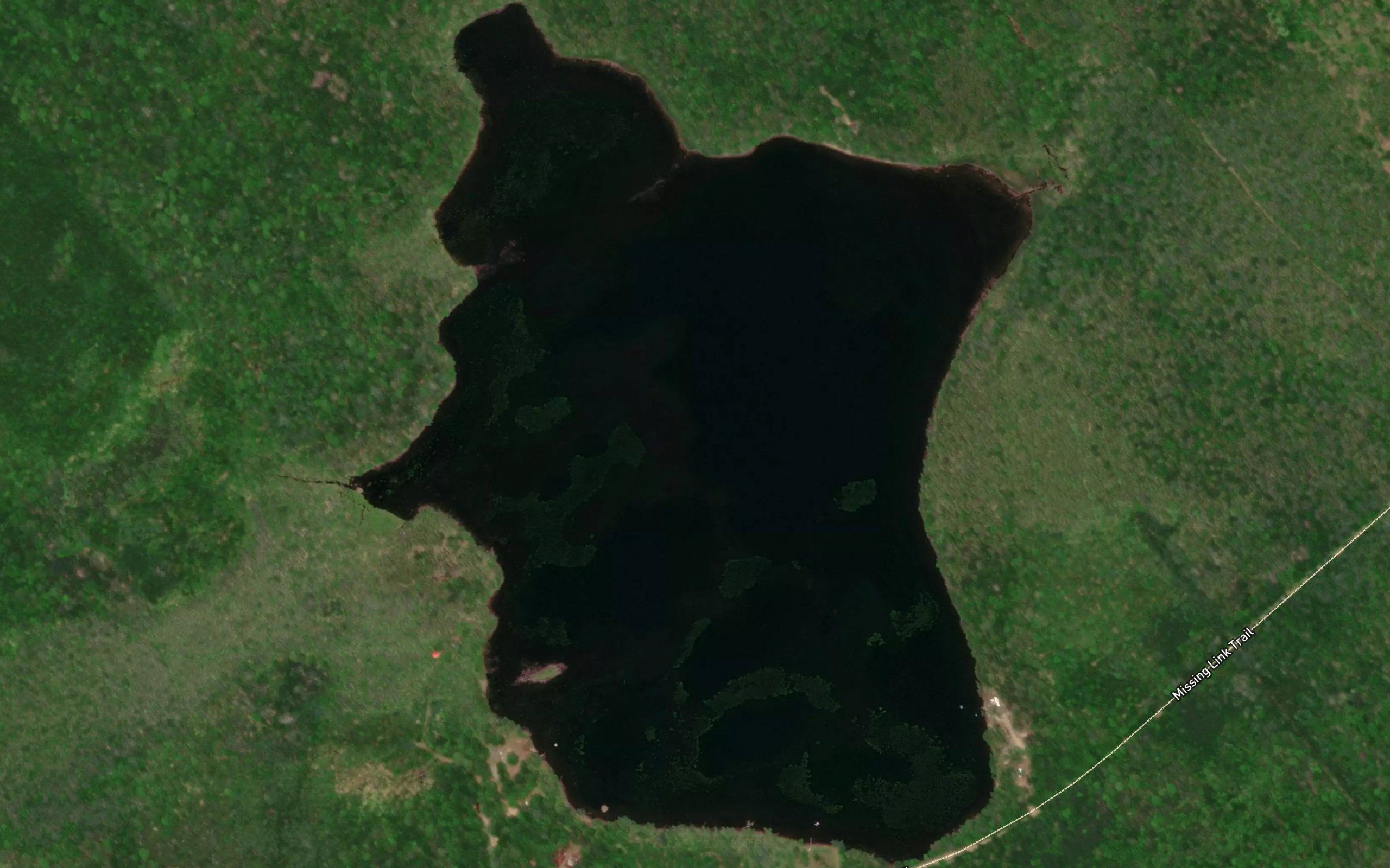 Delaps Lake