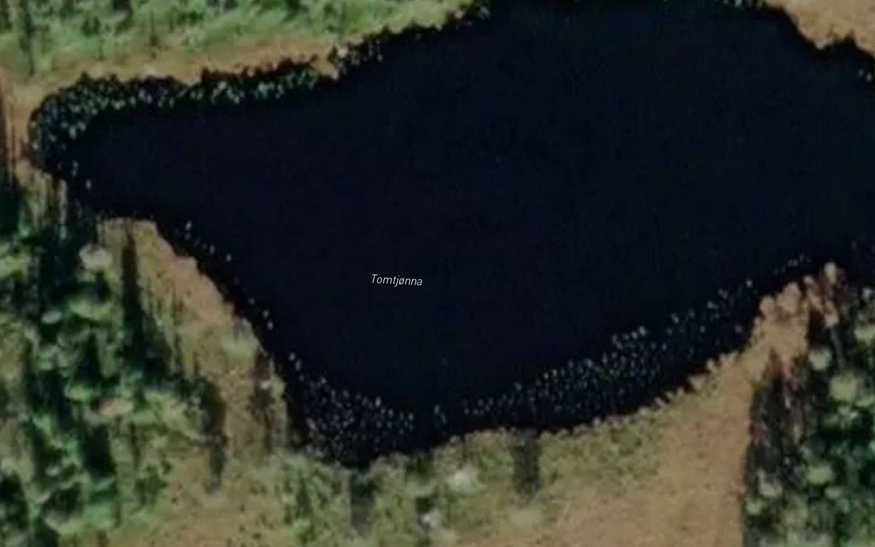 Satellite map of the Tomtjorna