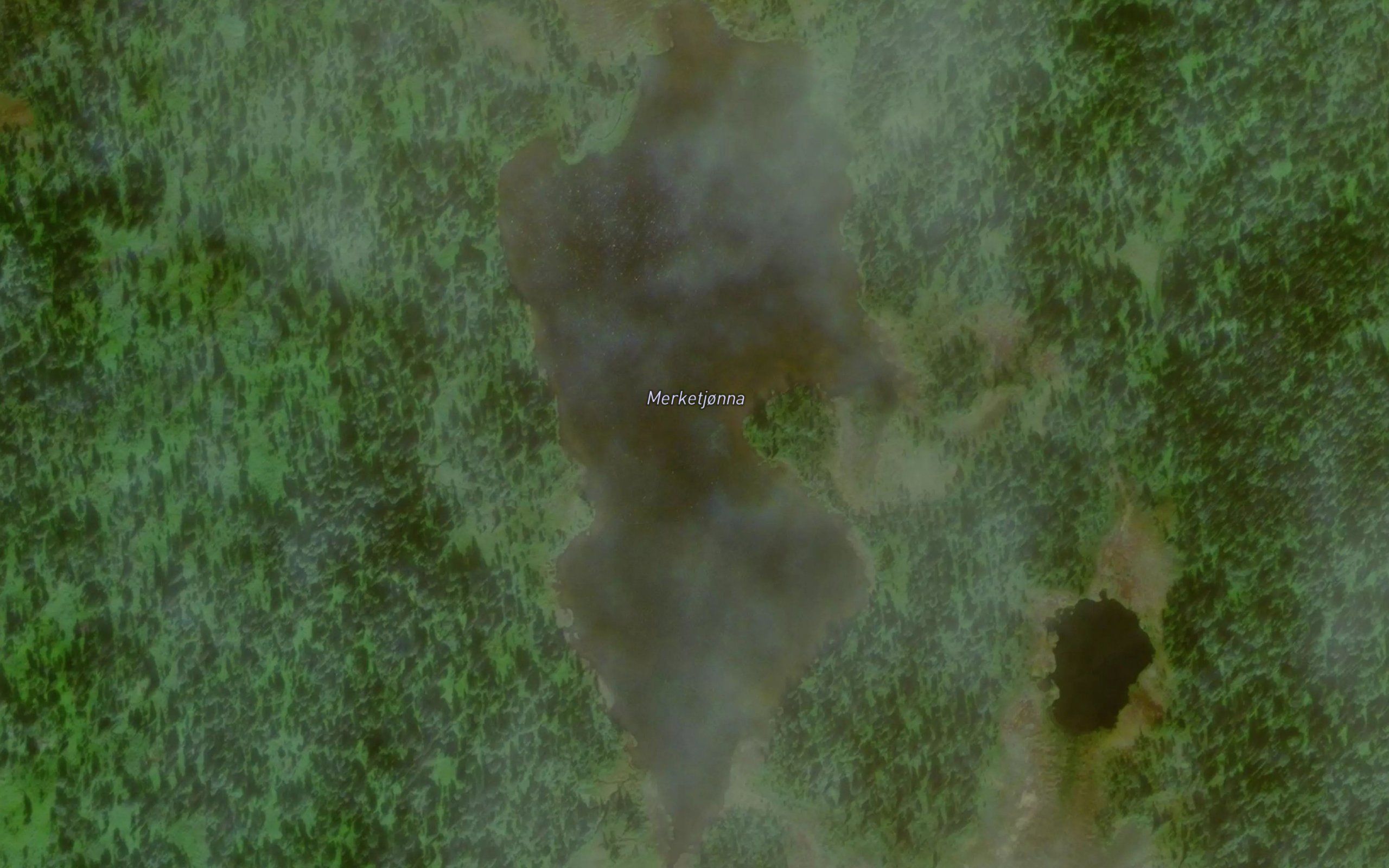 Merketjonna