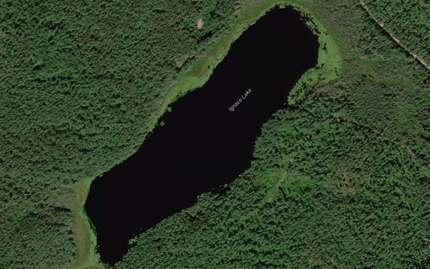 Satellite map of the Ignace Lake