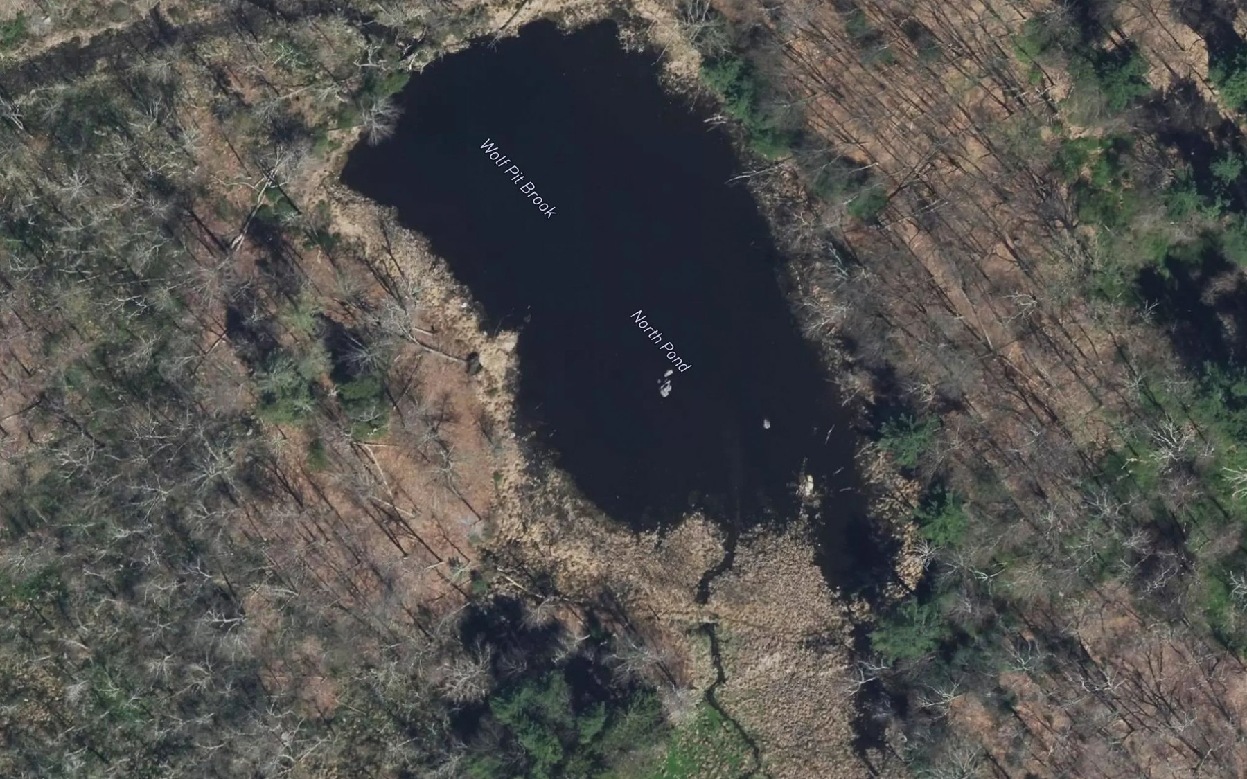 Satellite map of the North Pond