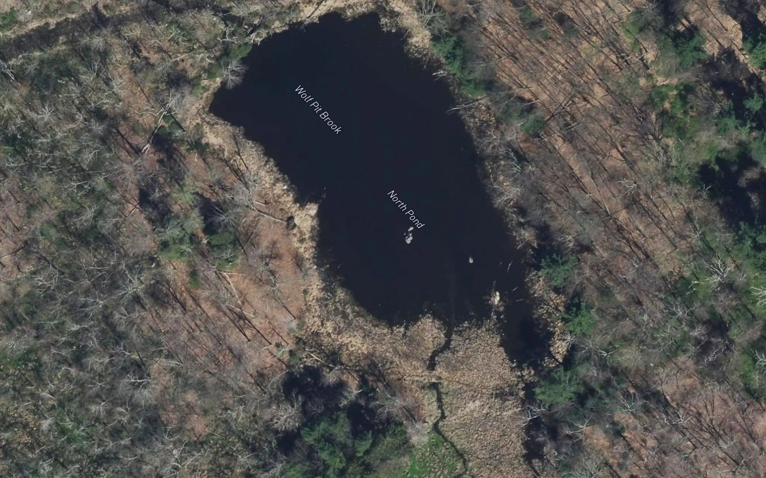 North Pond