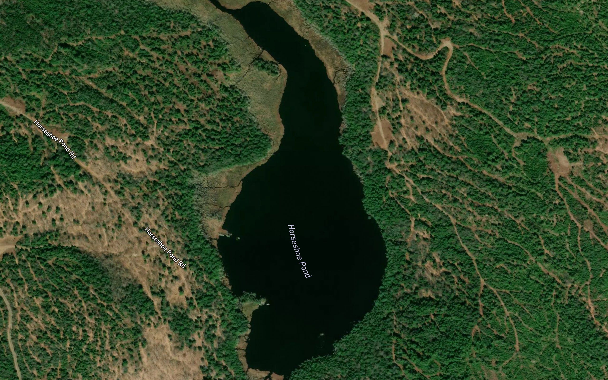 Horseshoe Pond