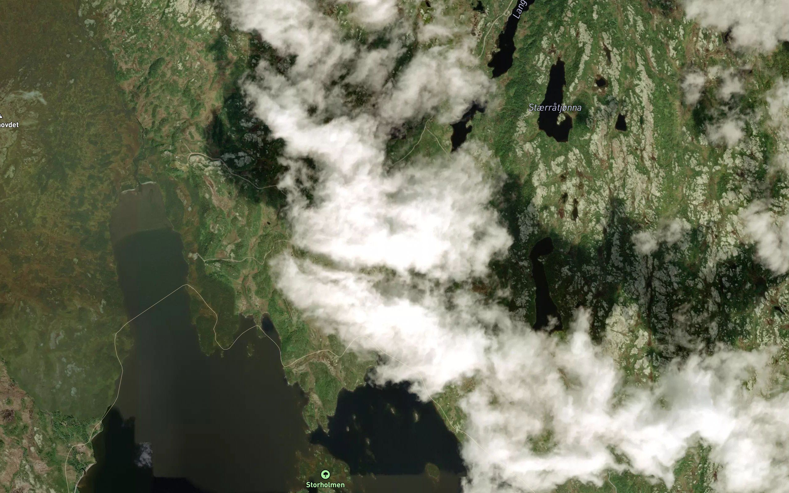 Svarttjonna