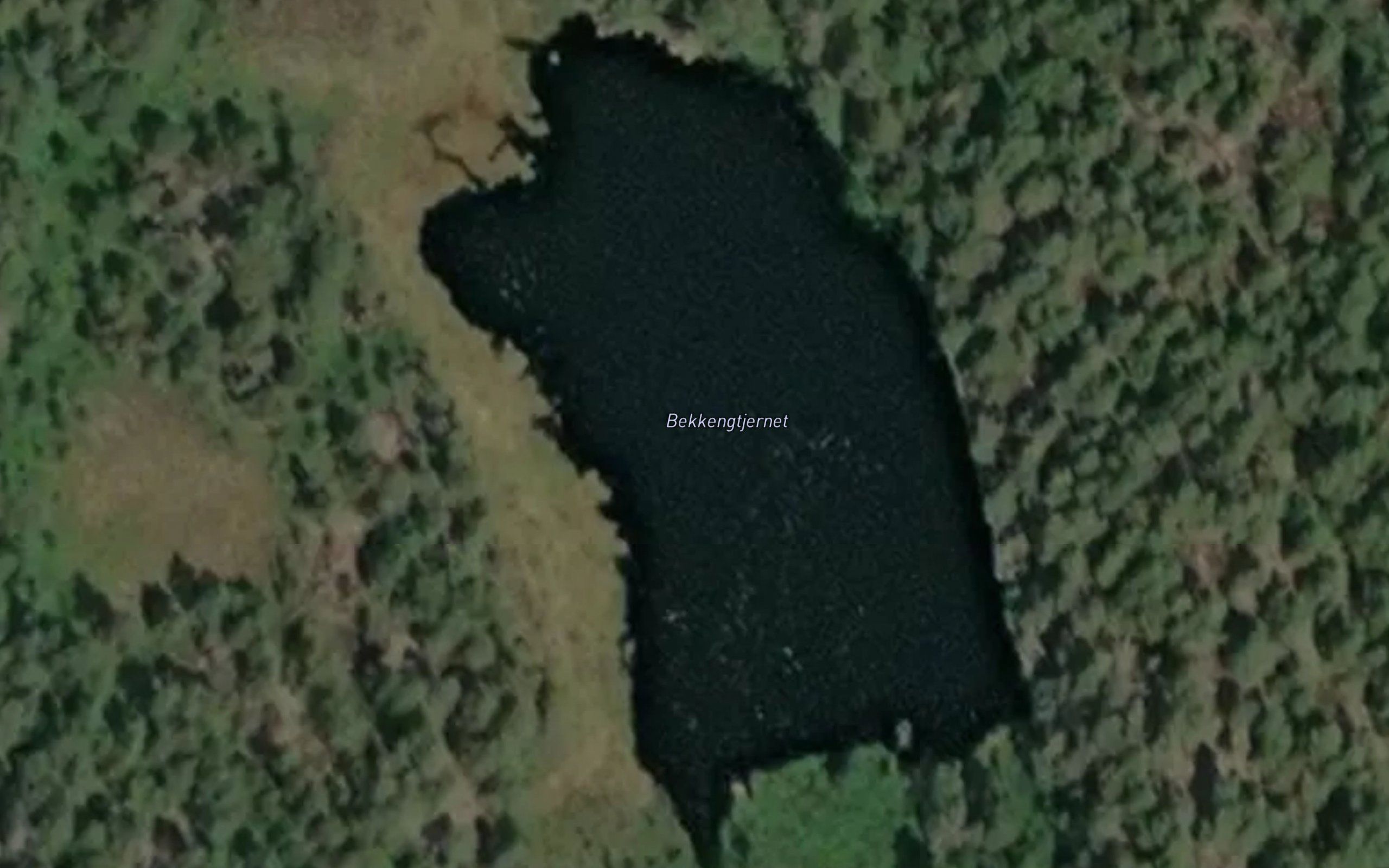 Bekkengtjernet