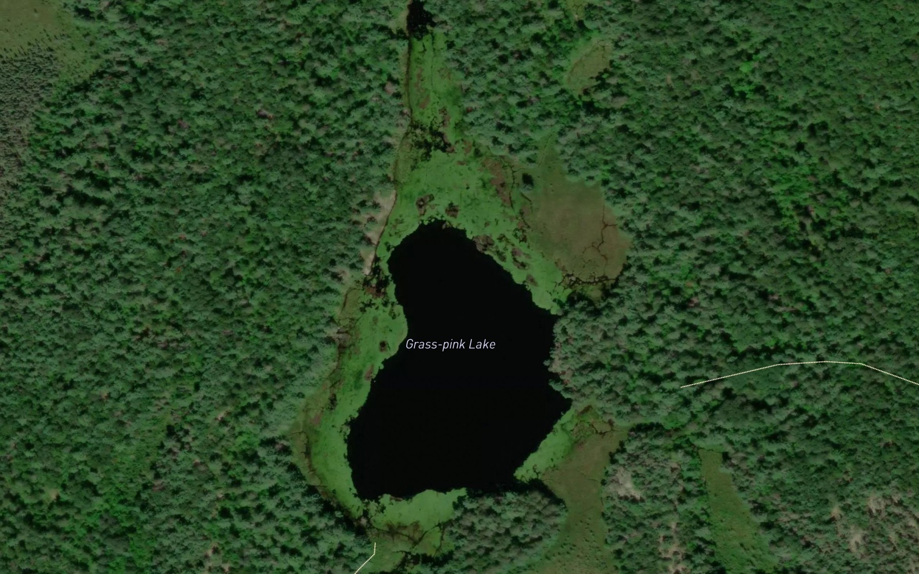 Satellite map of the Grass-pink Lake