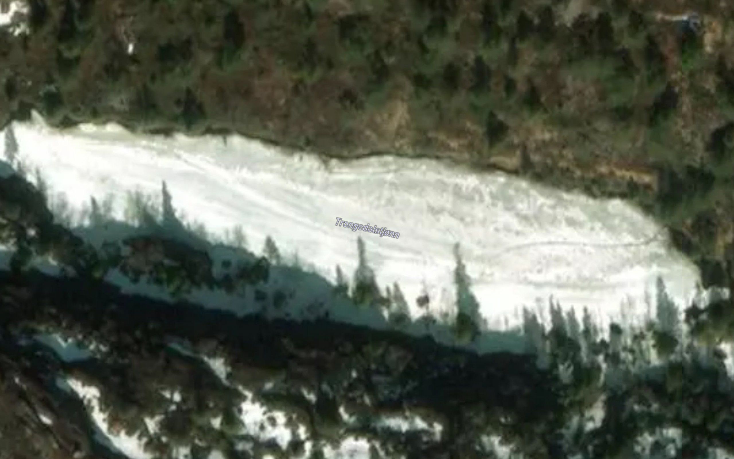 Trongedalstjorn