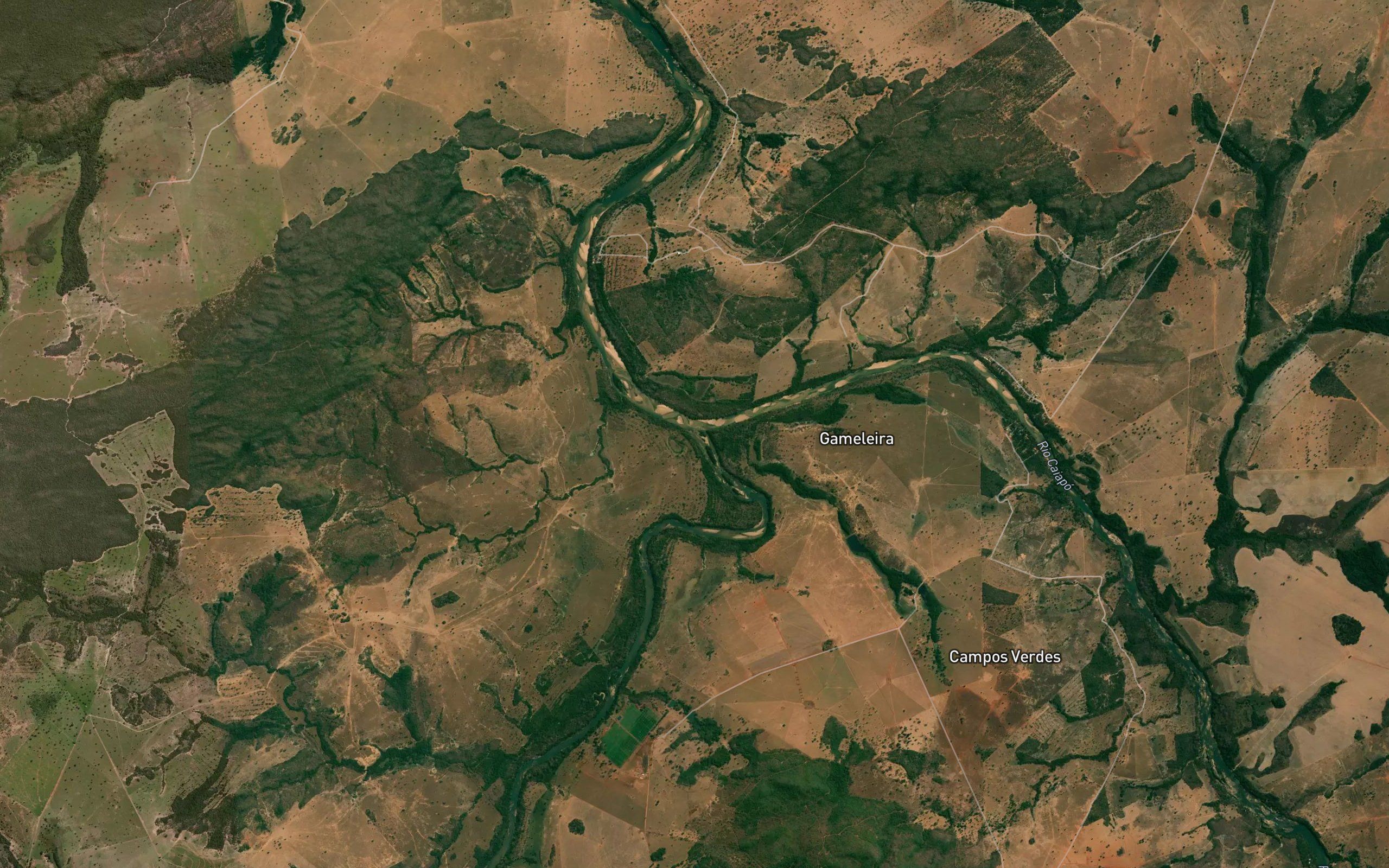 Rio Piranha