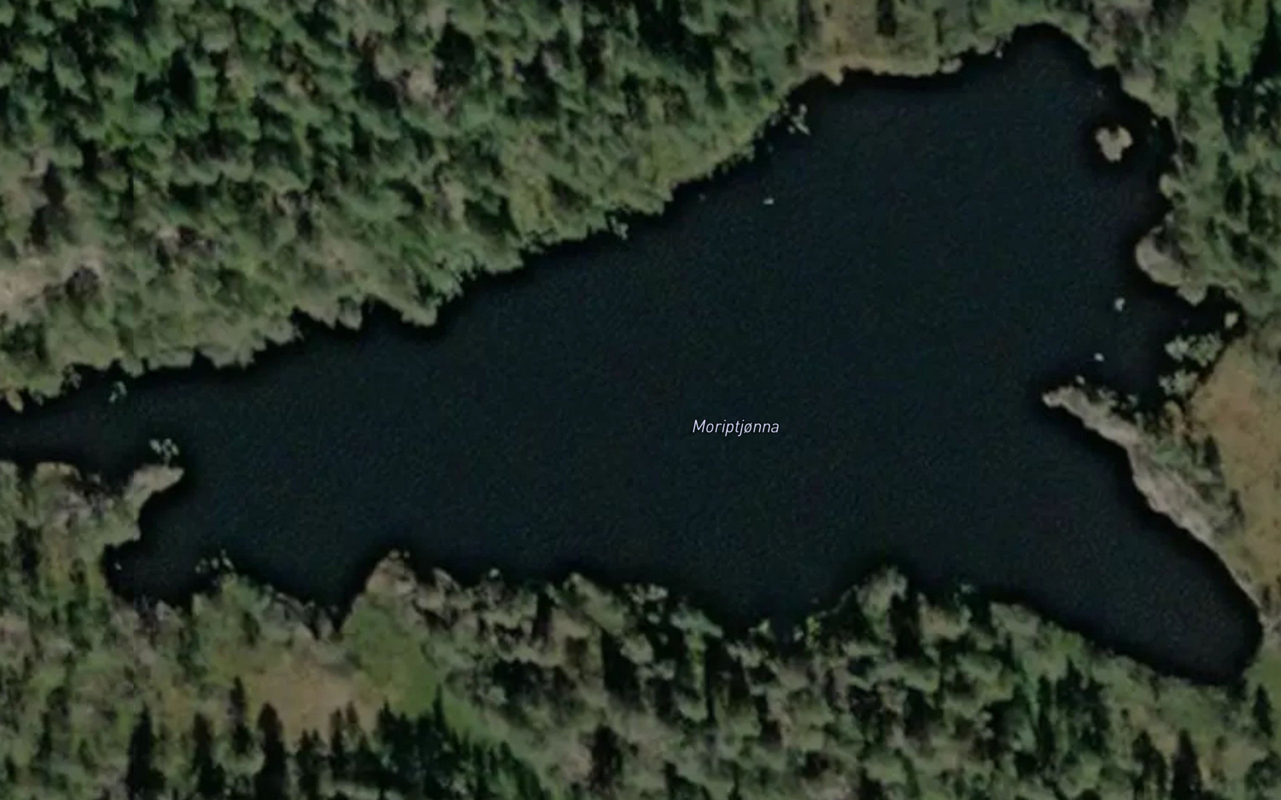 Moriptjorna