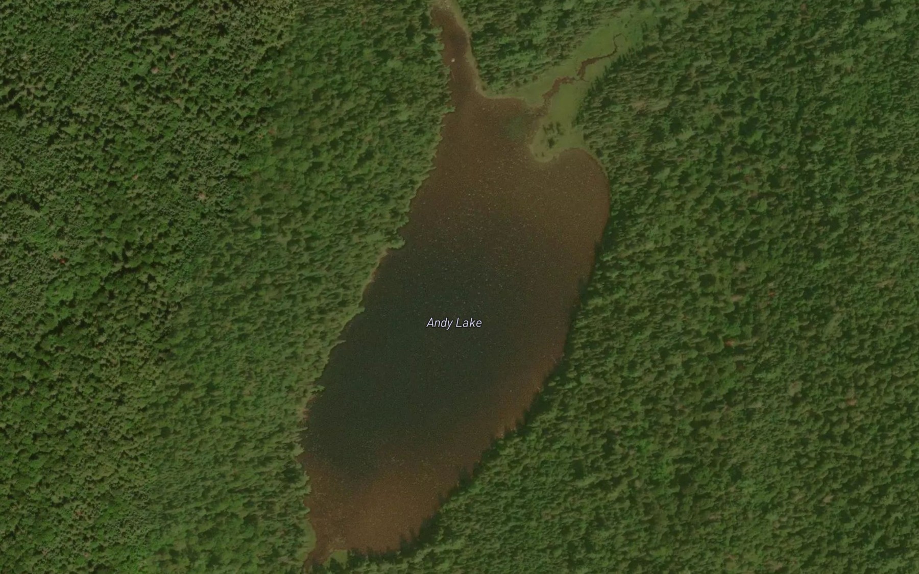 Satellite map of the Andy Lake