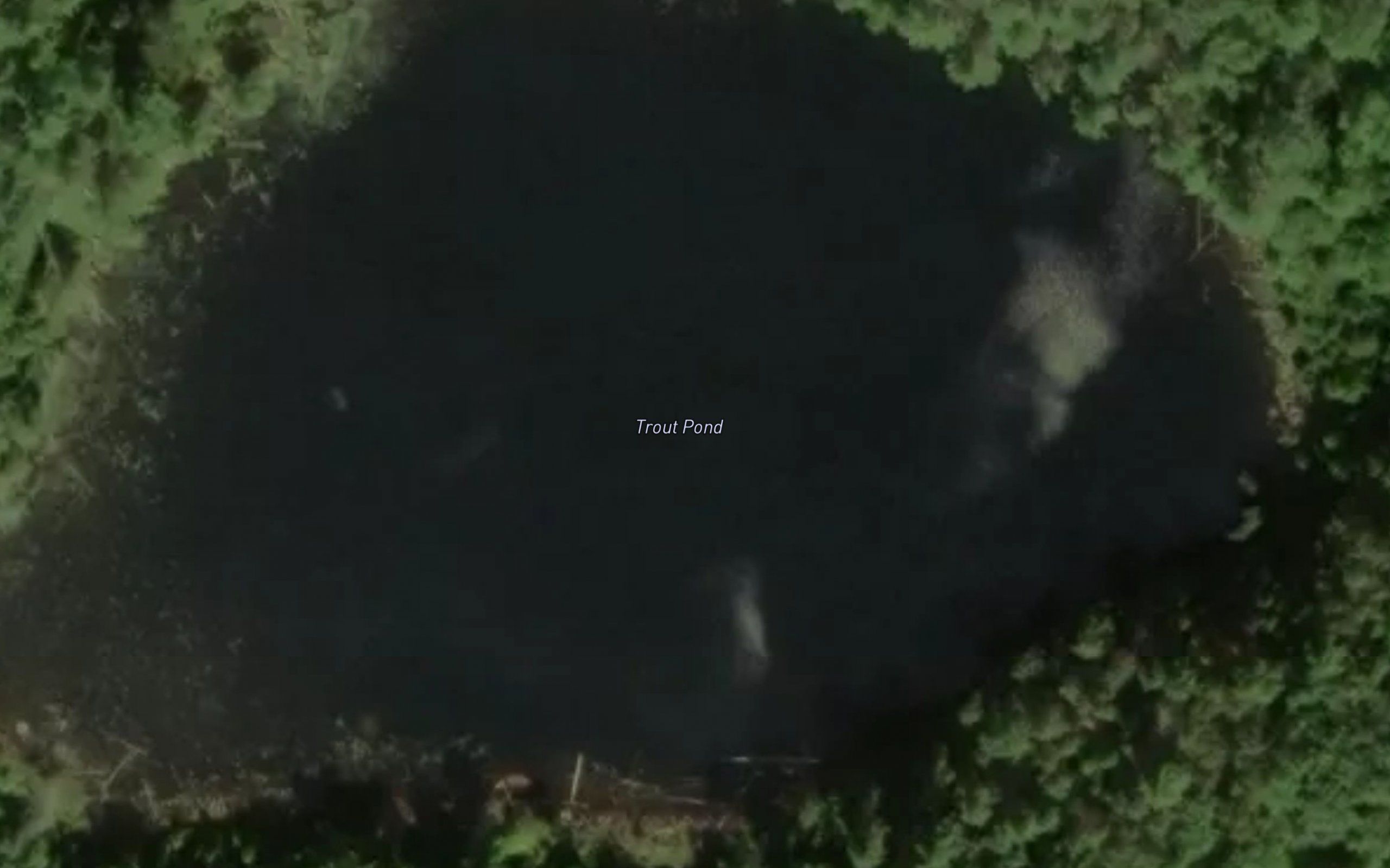 Trout Pond