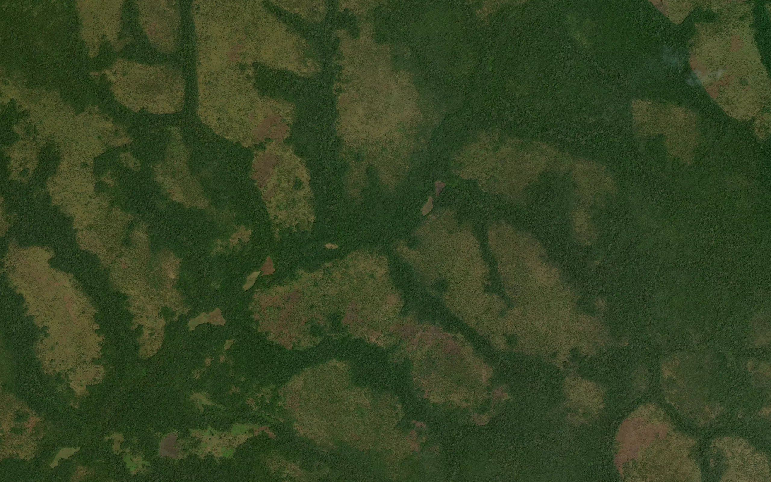 Manbaga