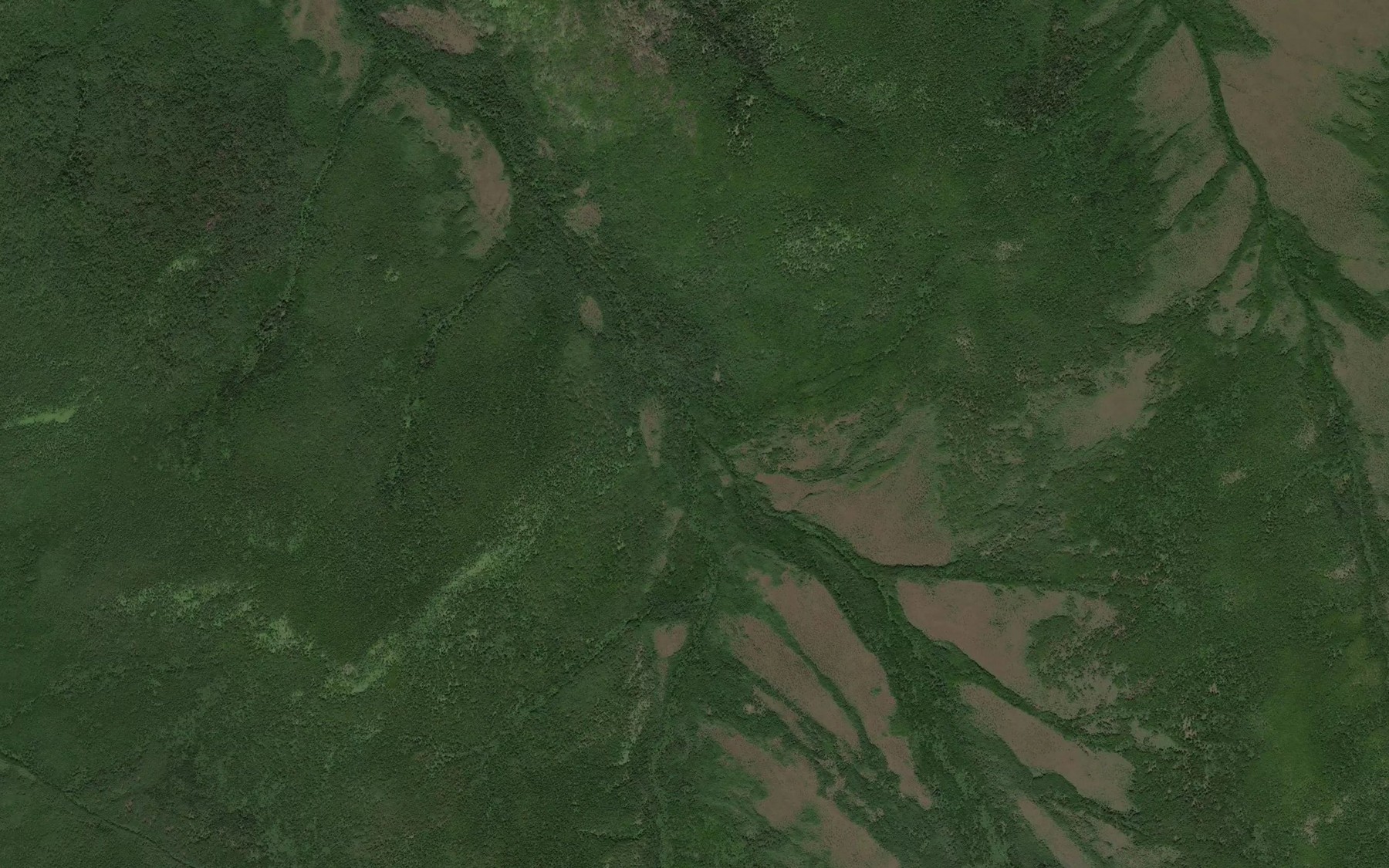 Satellite map of the Bol'shoy Veselyy