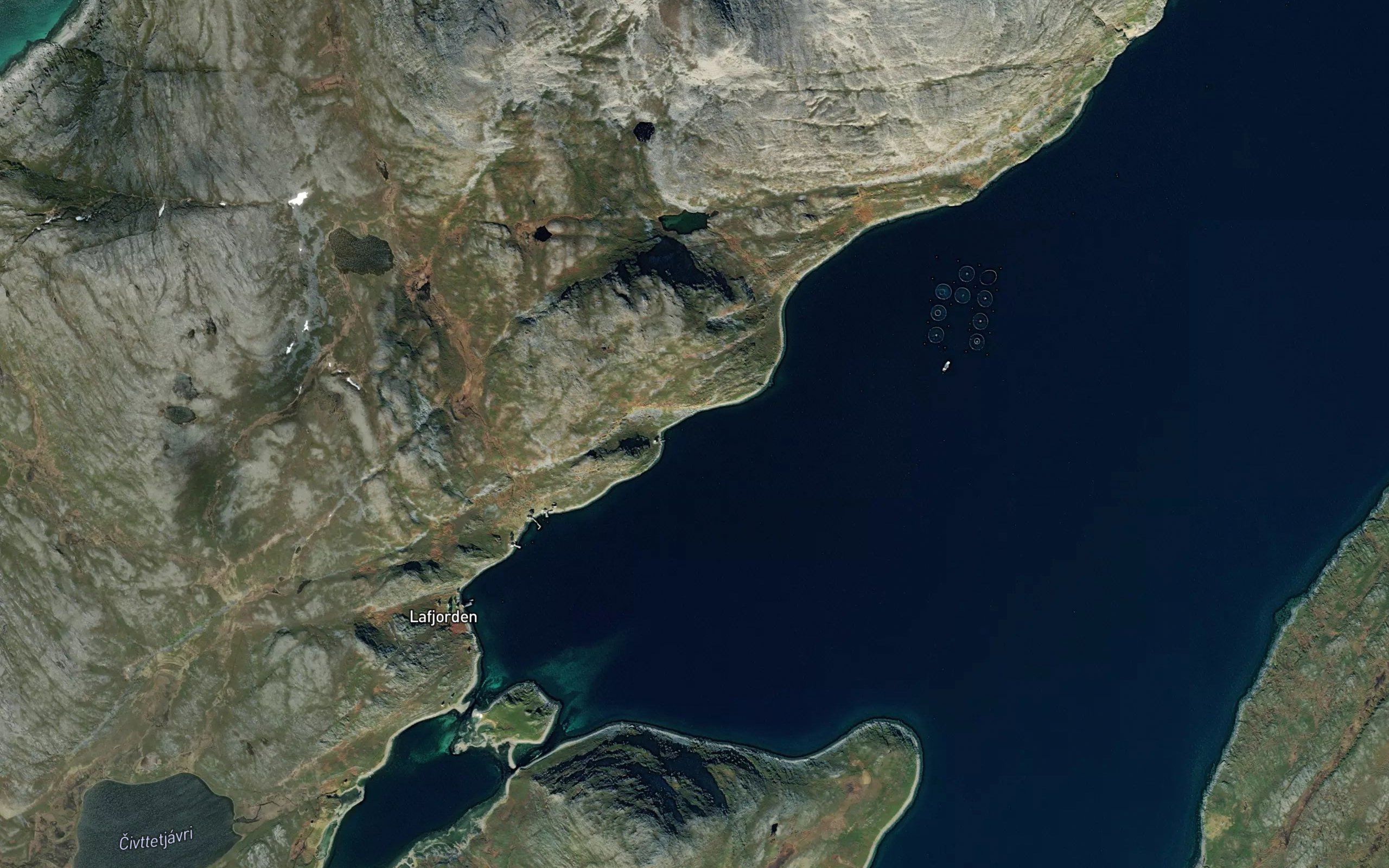 Laukvika
