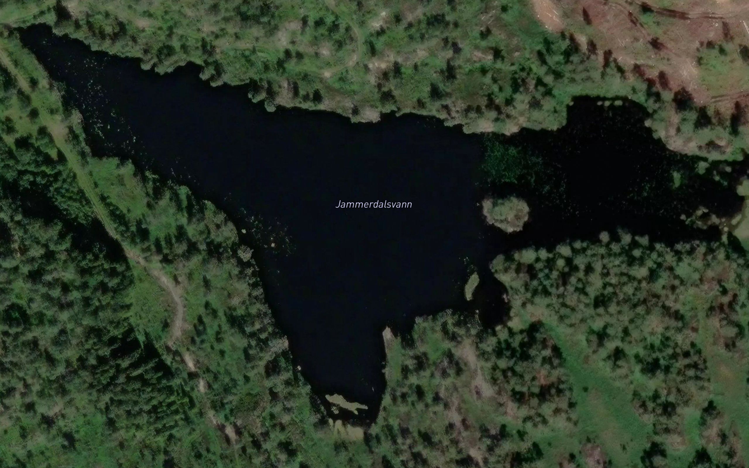 Jammerdalsvann