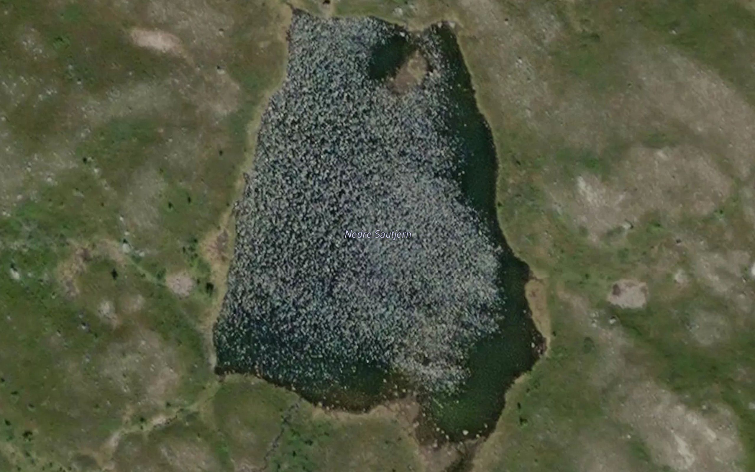 Sautjernet,nedre