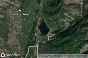 Saetertjorni