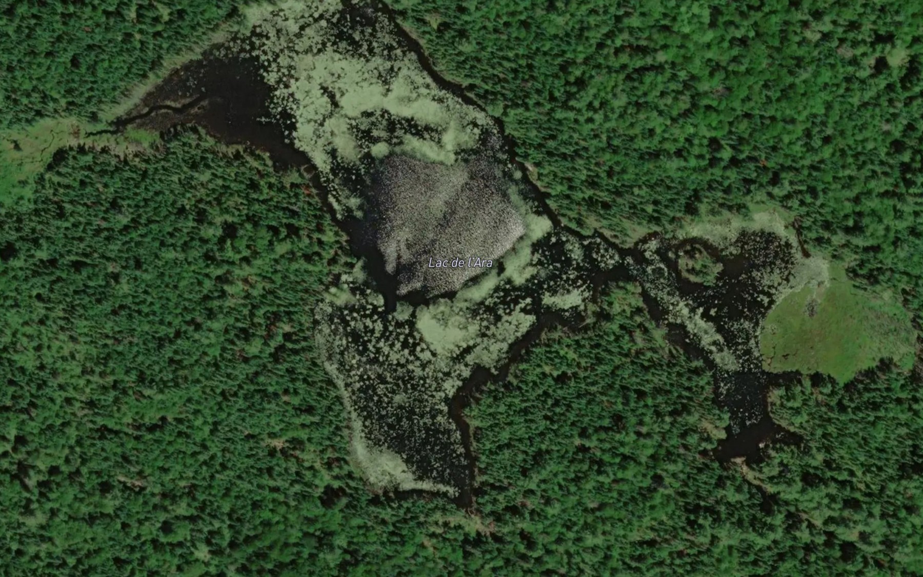 Satellite map of the Lac de l'Ara