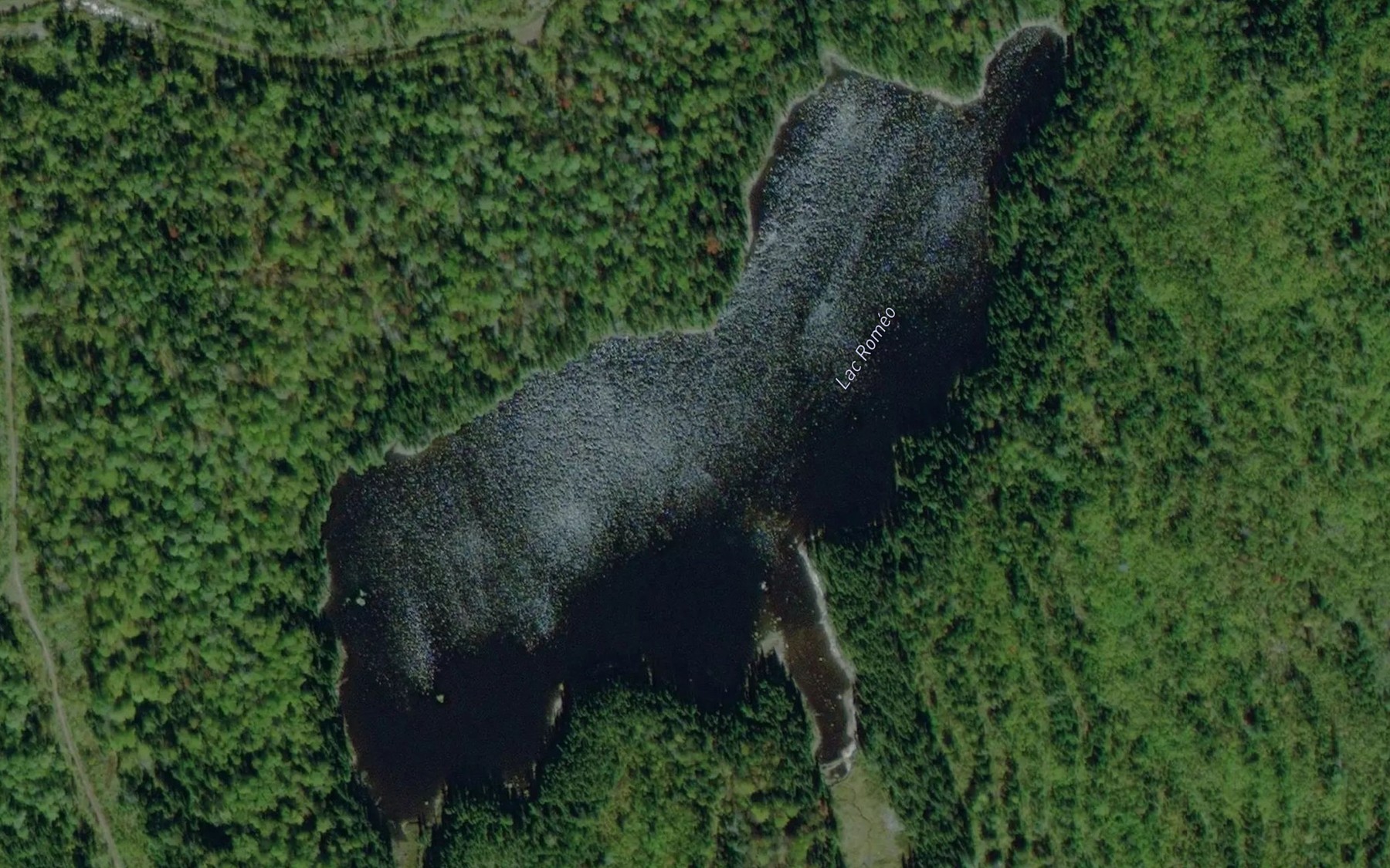 Satellite map of the Lac Romeo